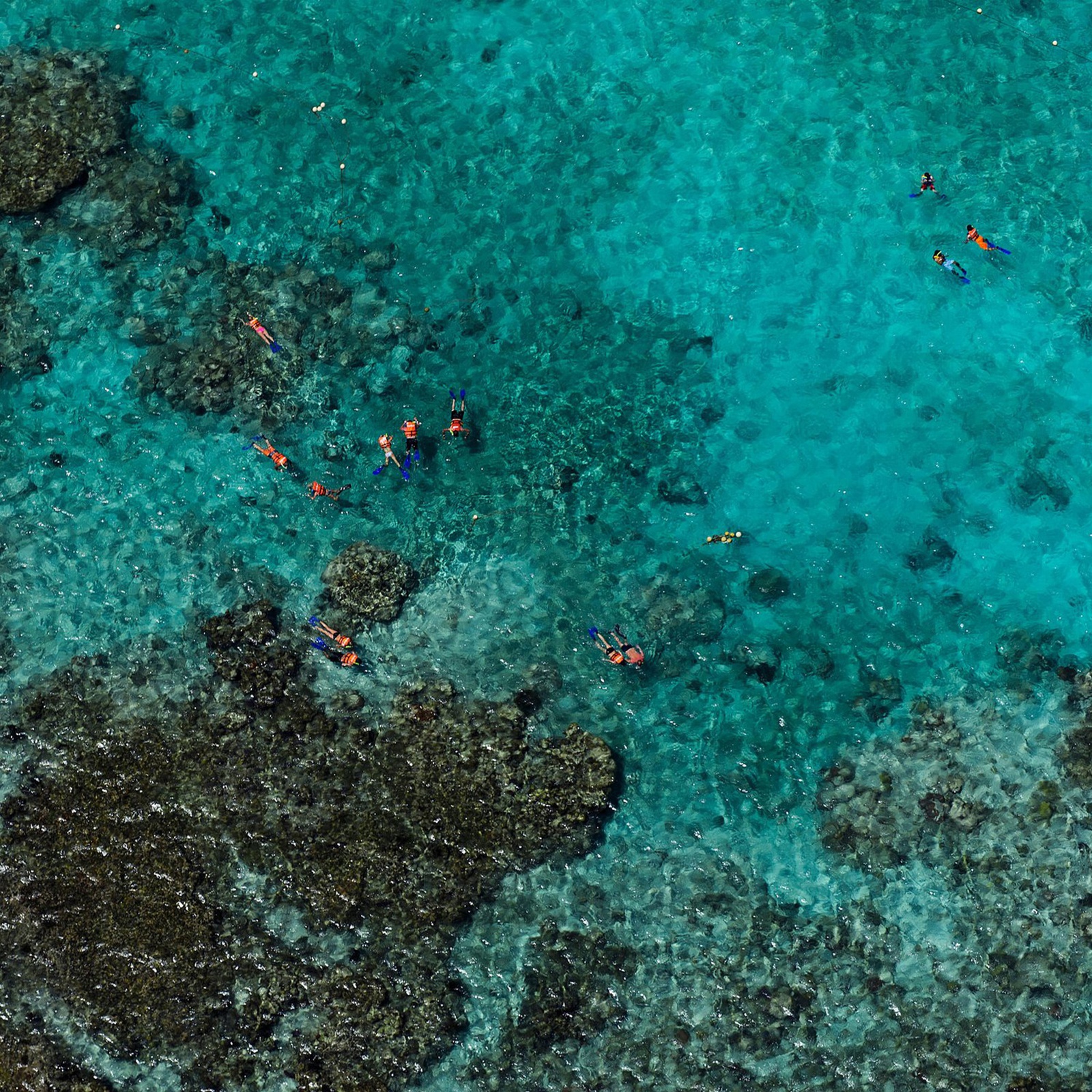 Tommy Clarke, Snorkellers