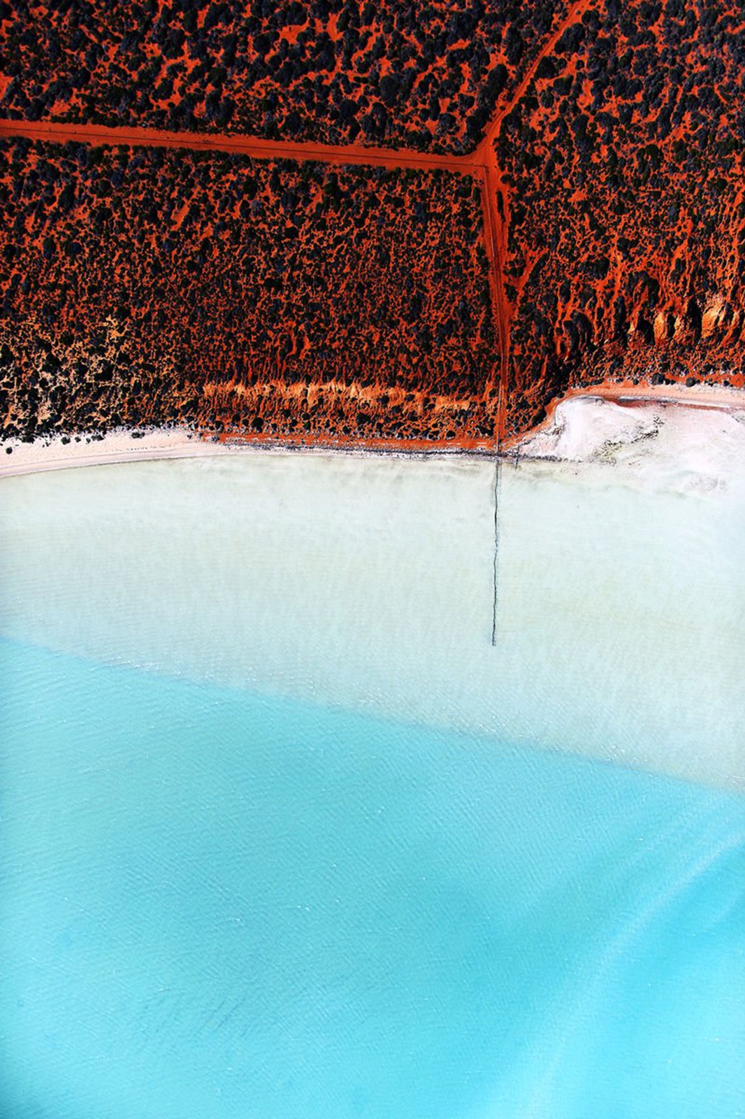 Tommy Clarke, Lagoon Fence, Shark Bay, Australia, 2016