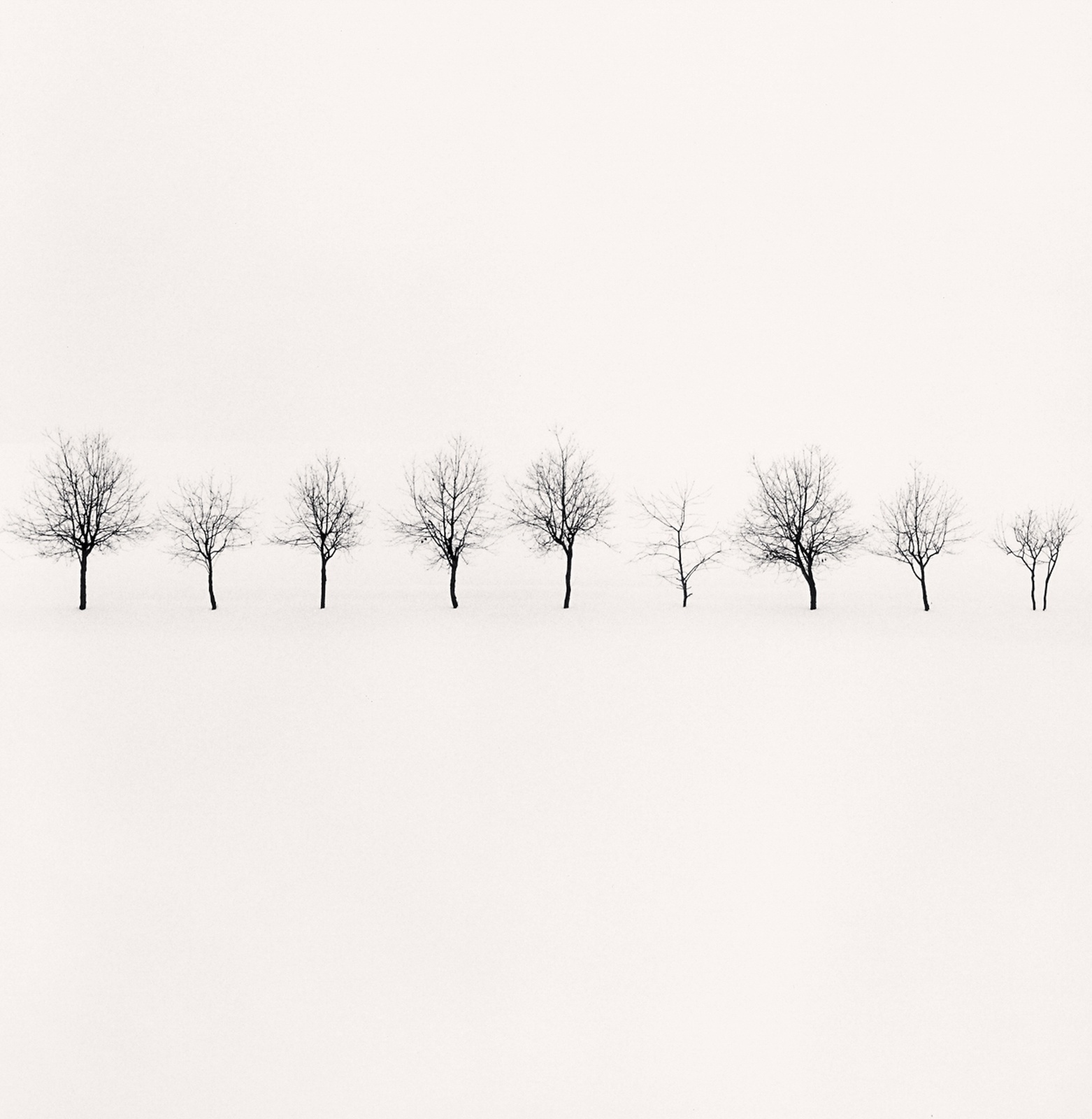 Michael Kenna, Nine Trees, Higashikawa, Hokkaido, Japan, 2004