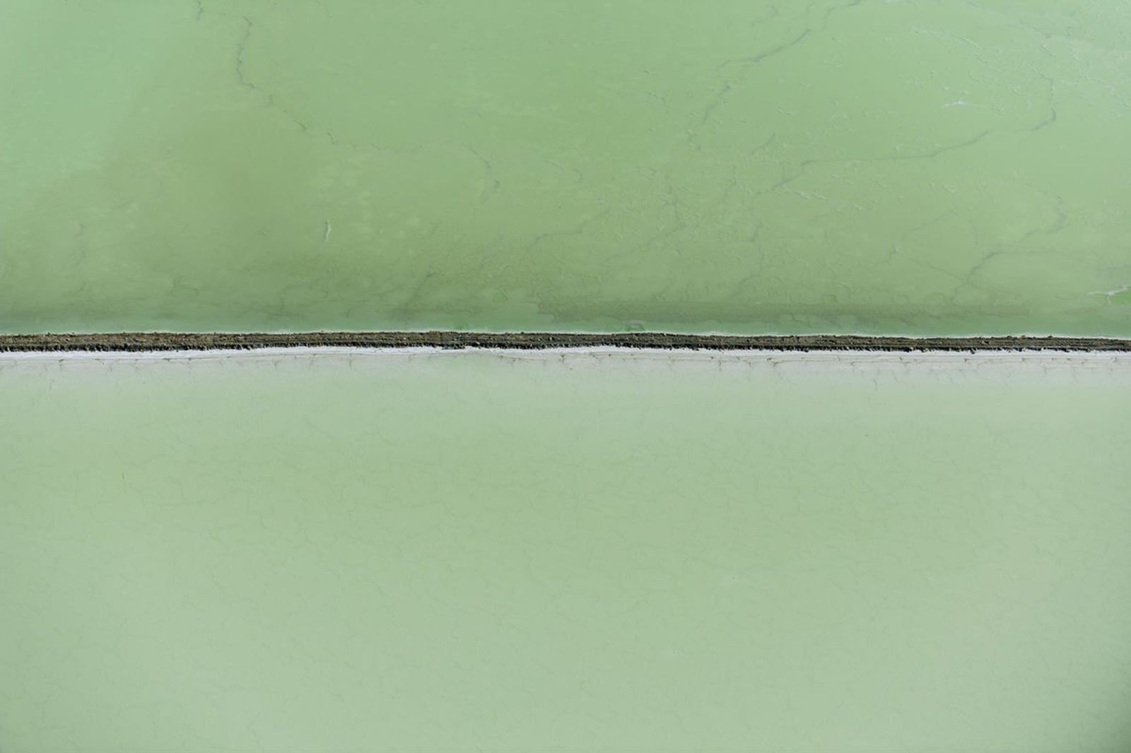 Tommy Clarke, Utah Green, Utah, 2014