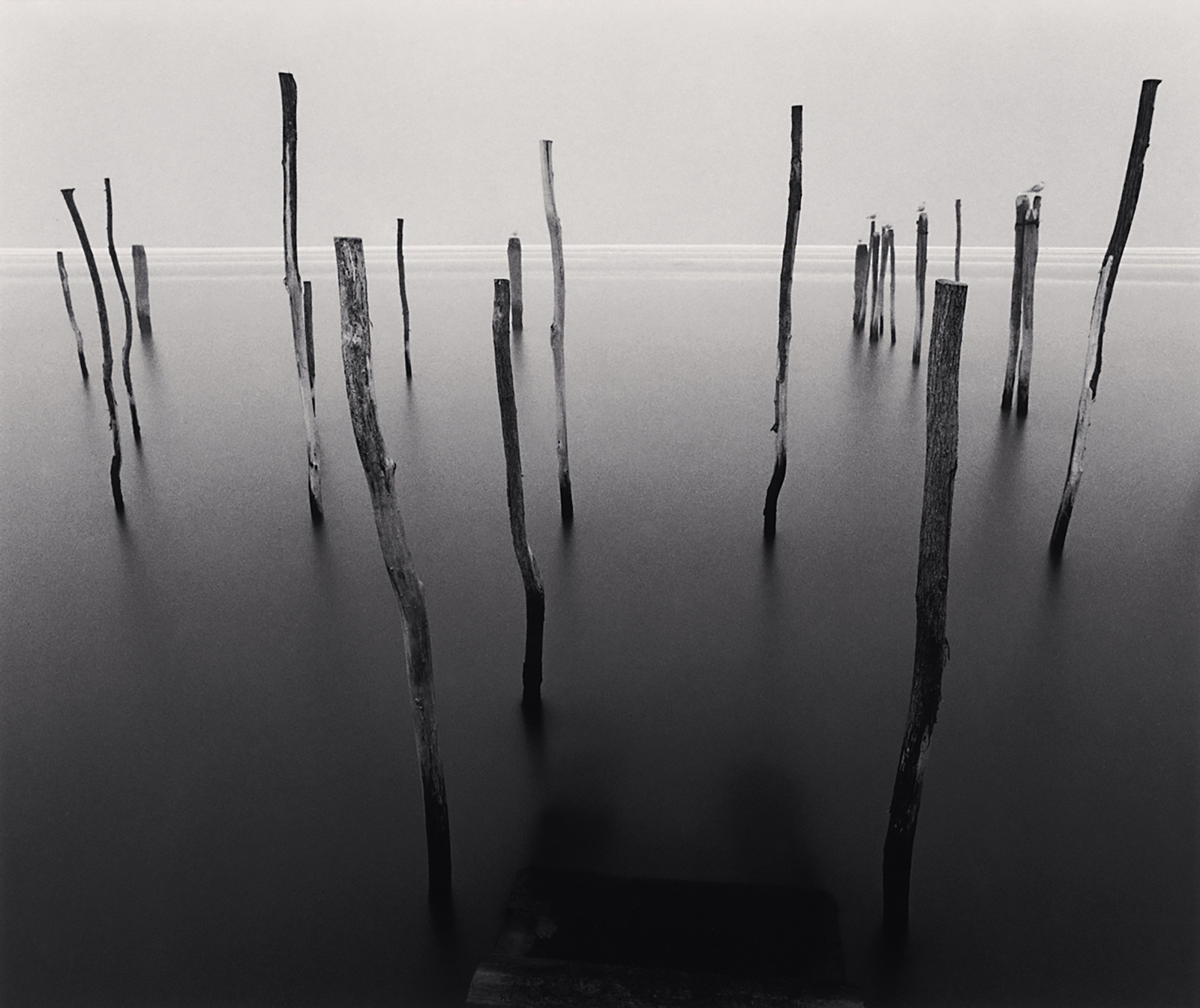 Michael Kenna, Docking Poles, Venice, Italy, 1980