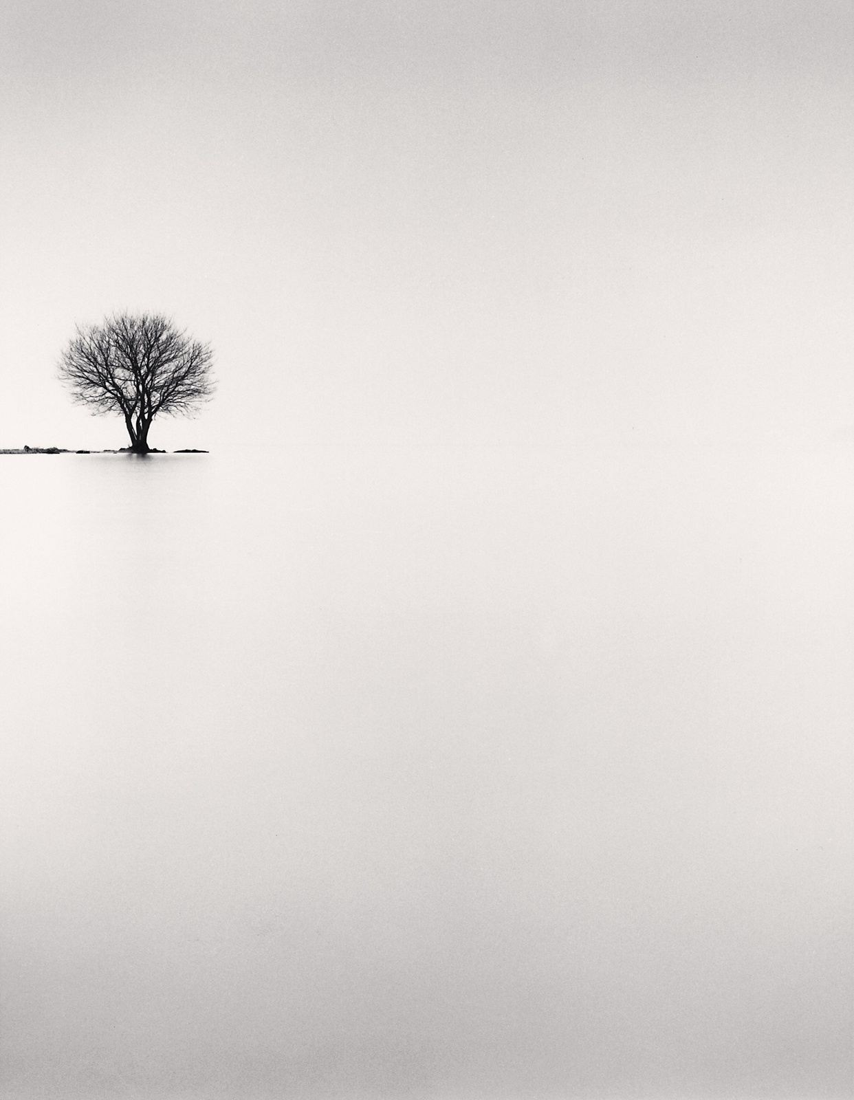 Michael Kenna, Biwa Lake Tree, Study 2, Omi, Honshu, Japan, 2002