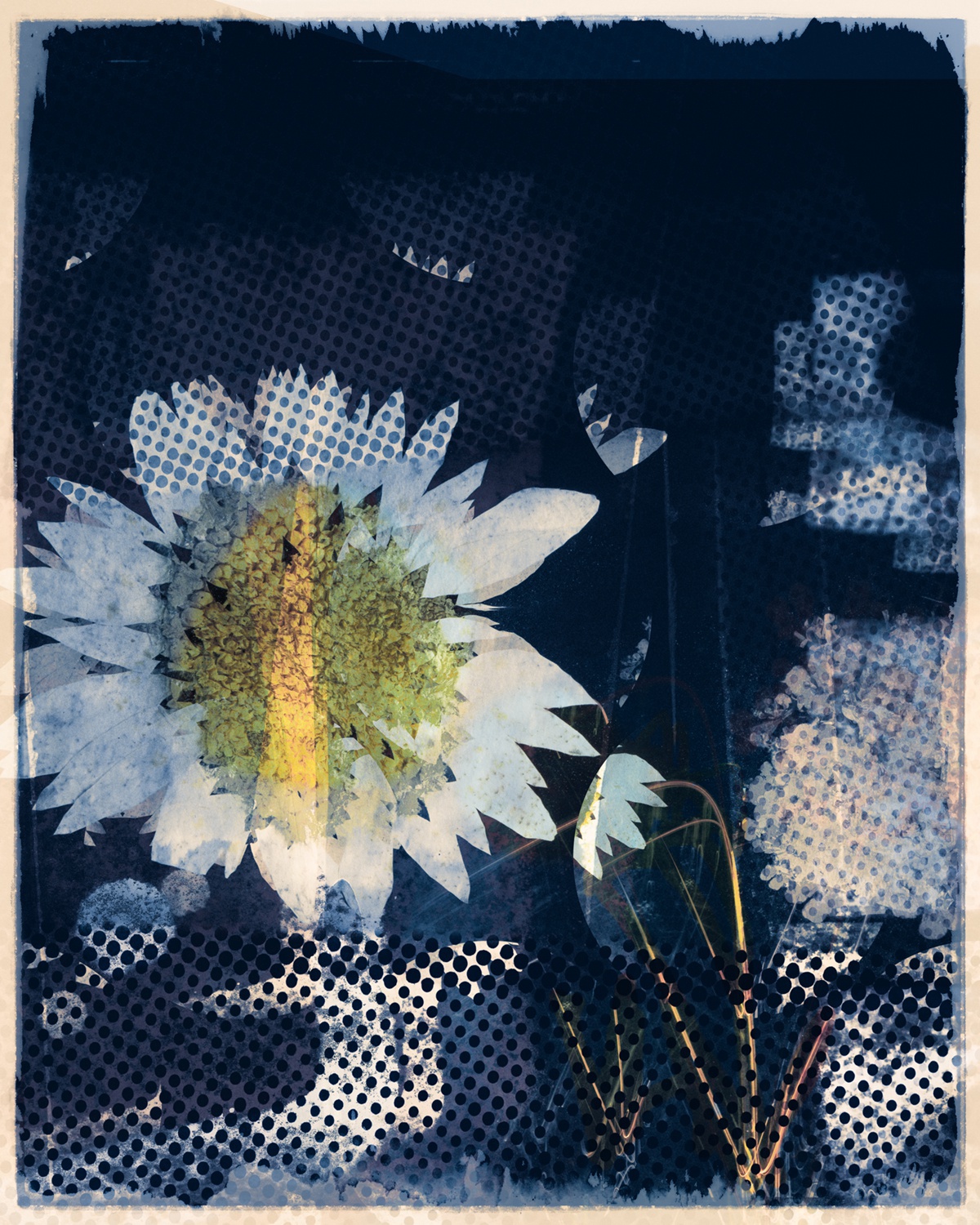 Valda Bailey, New Order, 2020