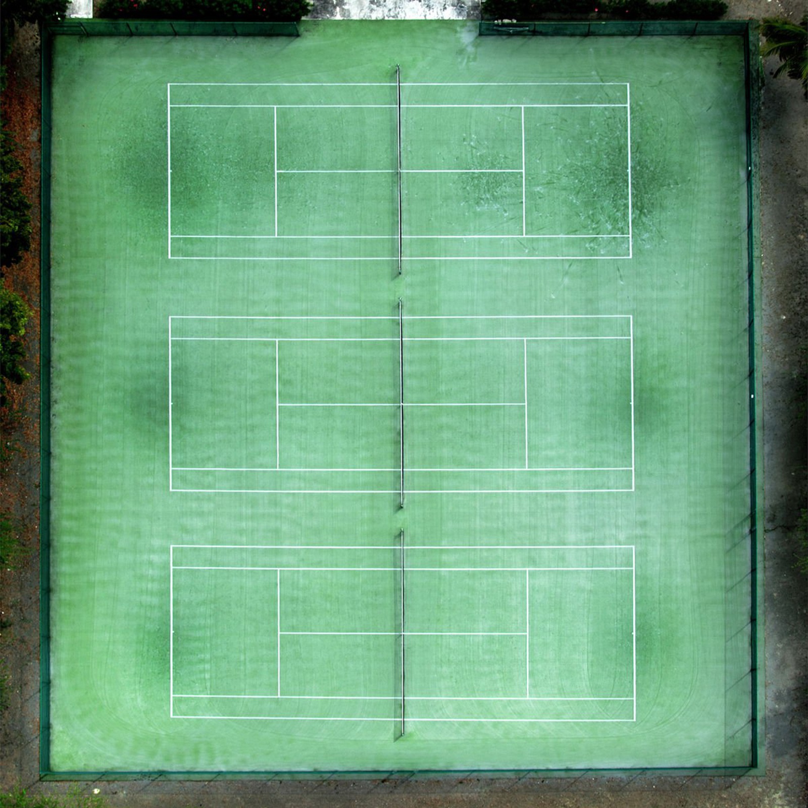 Tommy Clarke, Tennis Lines