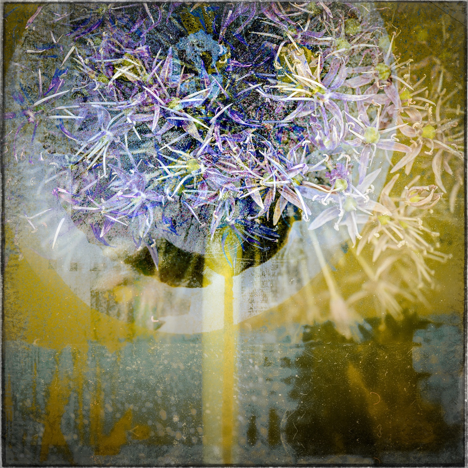 Valda Bailey, Fading Embers, 2020