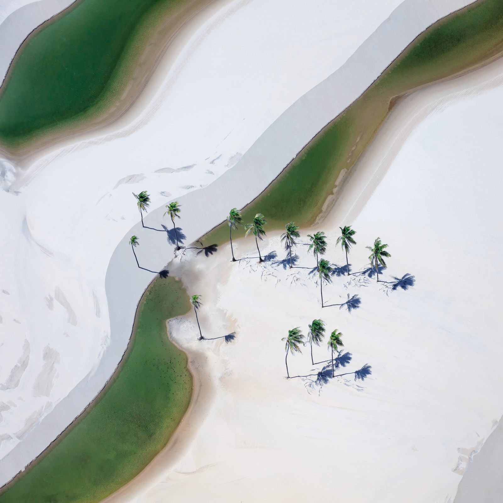 Yi Sun, Coffee or Tea Study 2, Lençóis Maranhenses National Park, Brazil, 2018