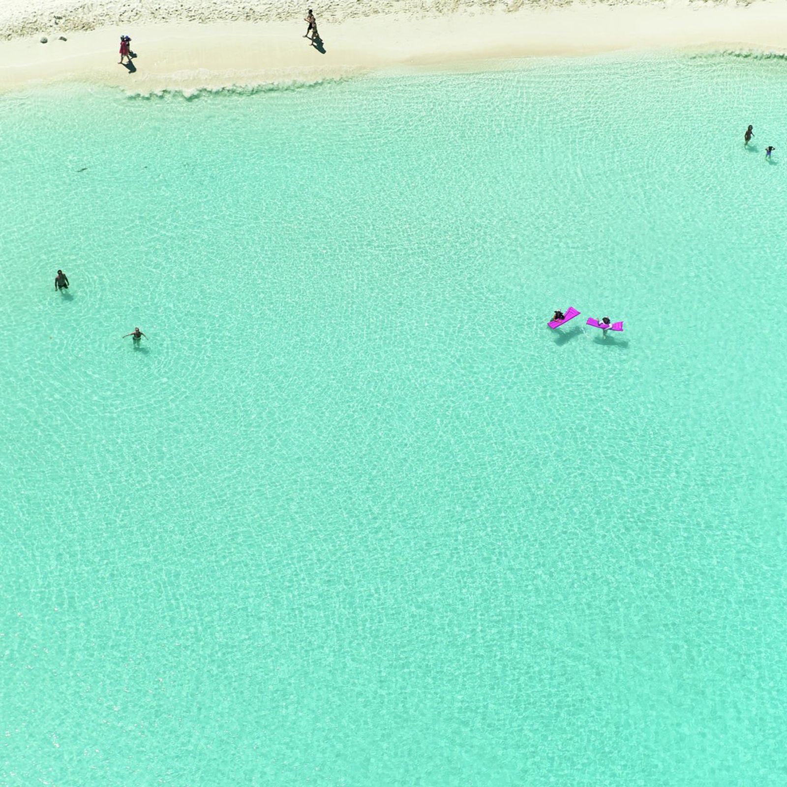 Tommy Clarke, Pink Lilo