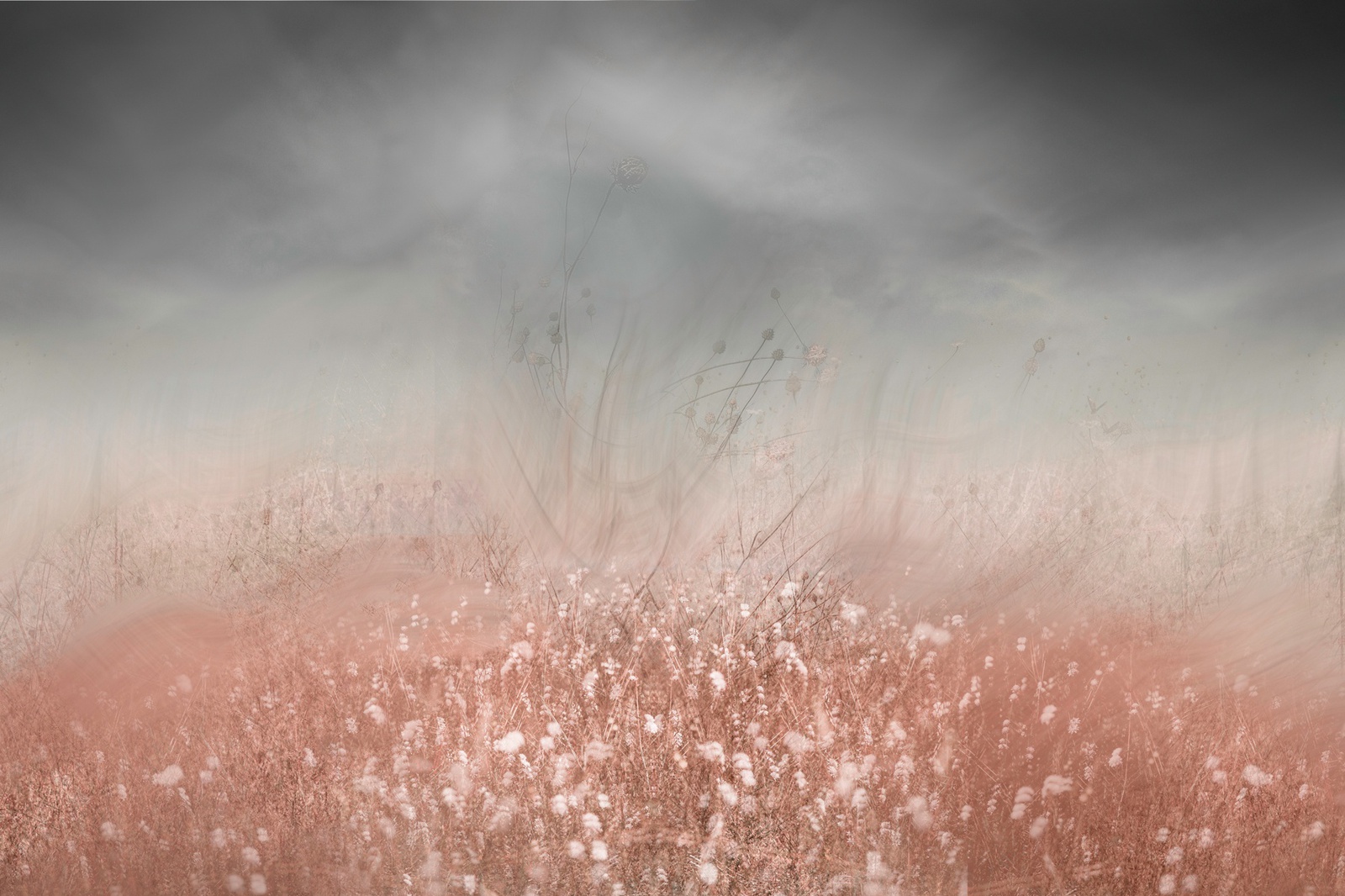 Valda Bailey, Autumn's Farewell, Study 2, 2017