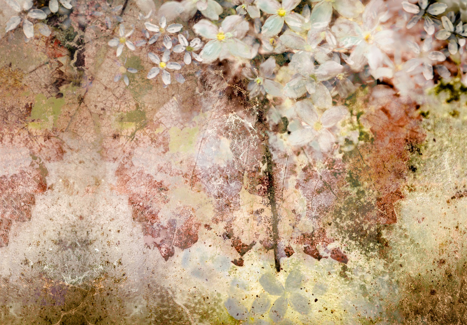 Valda Bailey, Through a Glasshouse Darkly, Study 2, 2016