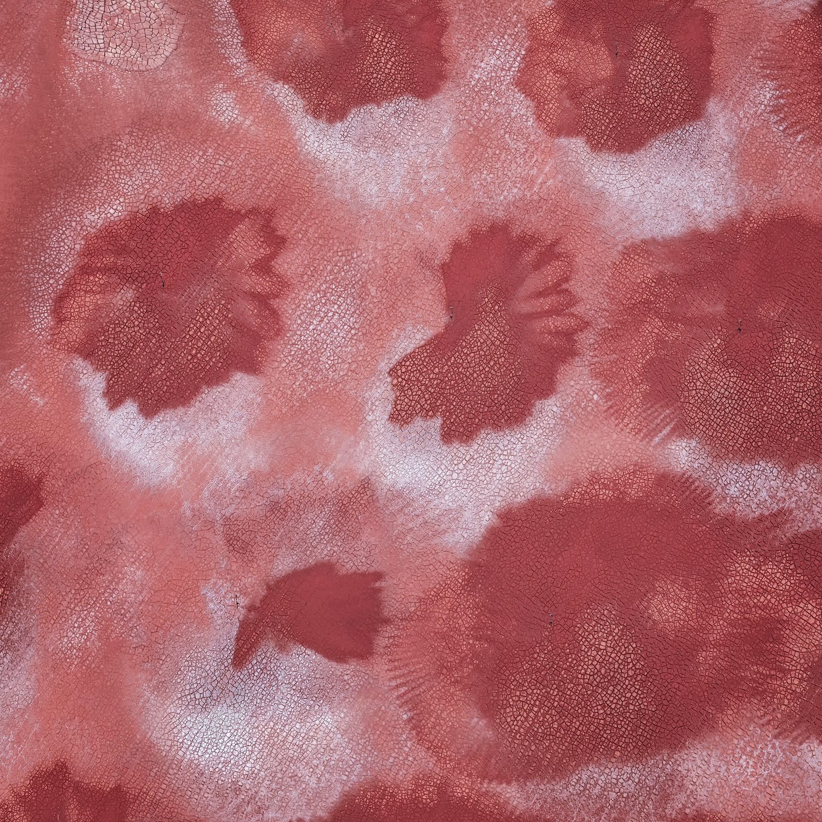 Yi Sun, Bleeding Tears Study 9, Perth, Western Australia, 2017