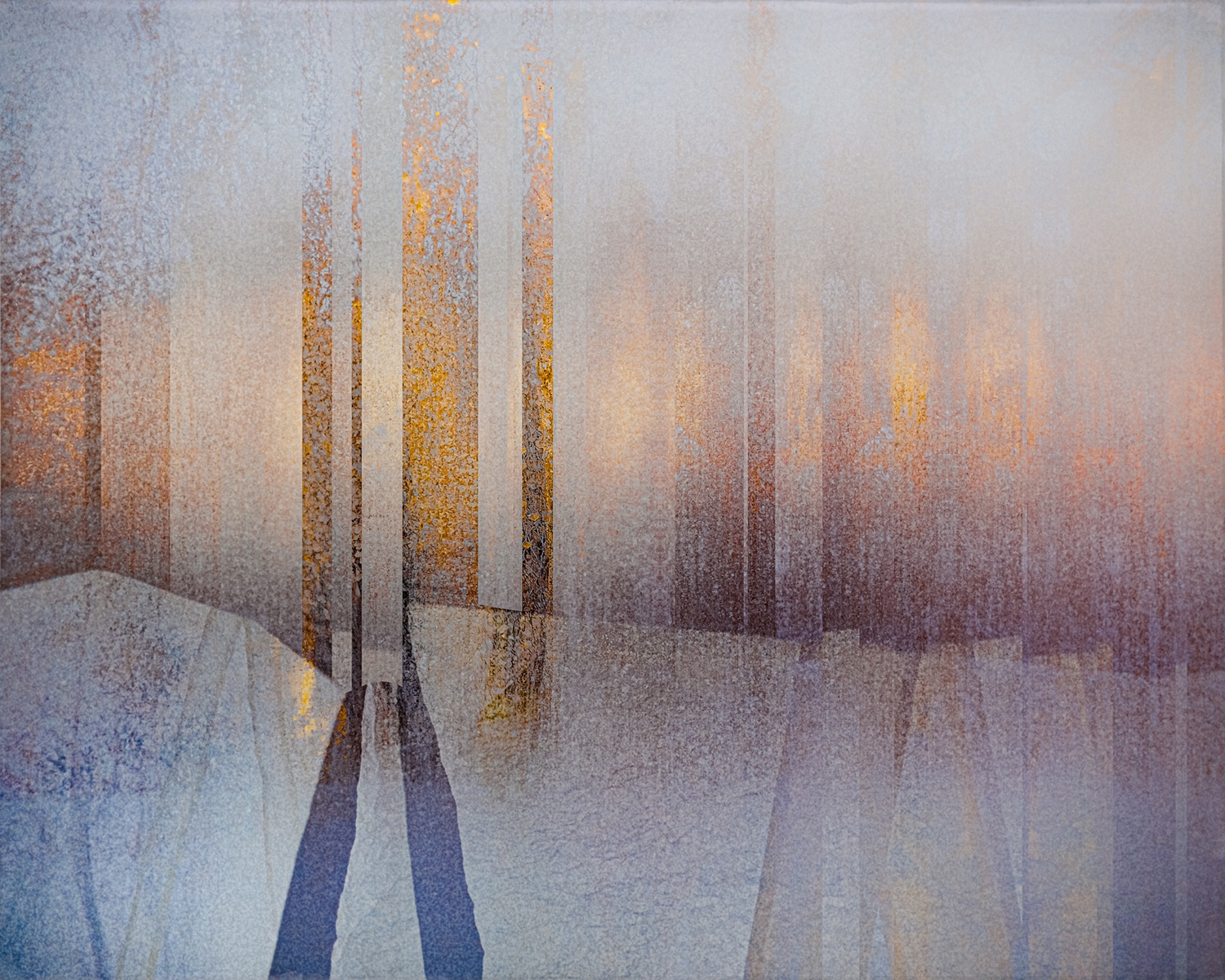 Valda Bailey, Silent Still Study 2, 2020