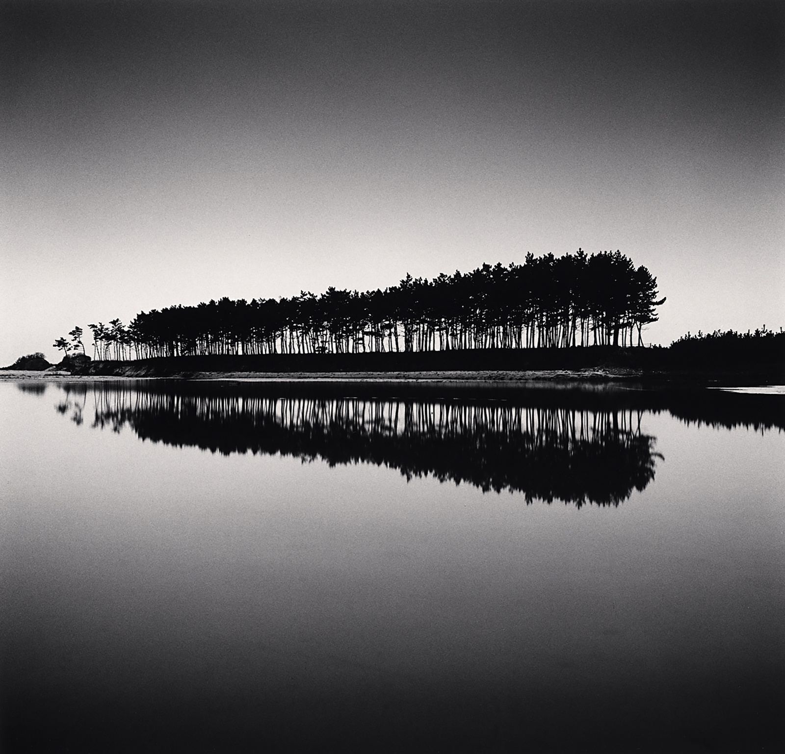 Michael Kenna, Pine Trees, Study 5, Unyeo Beach, Chungcheongnam Do, South Korea, 2018