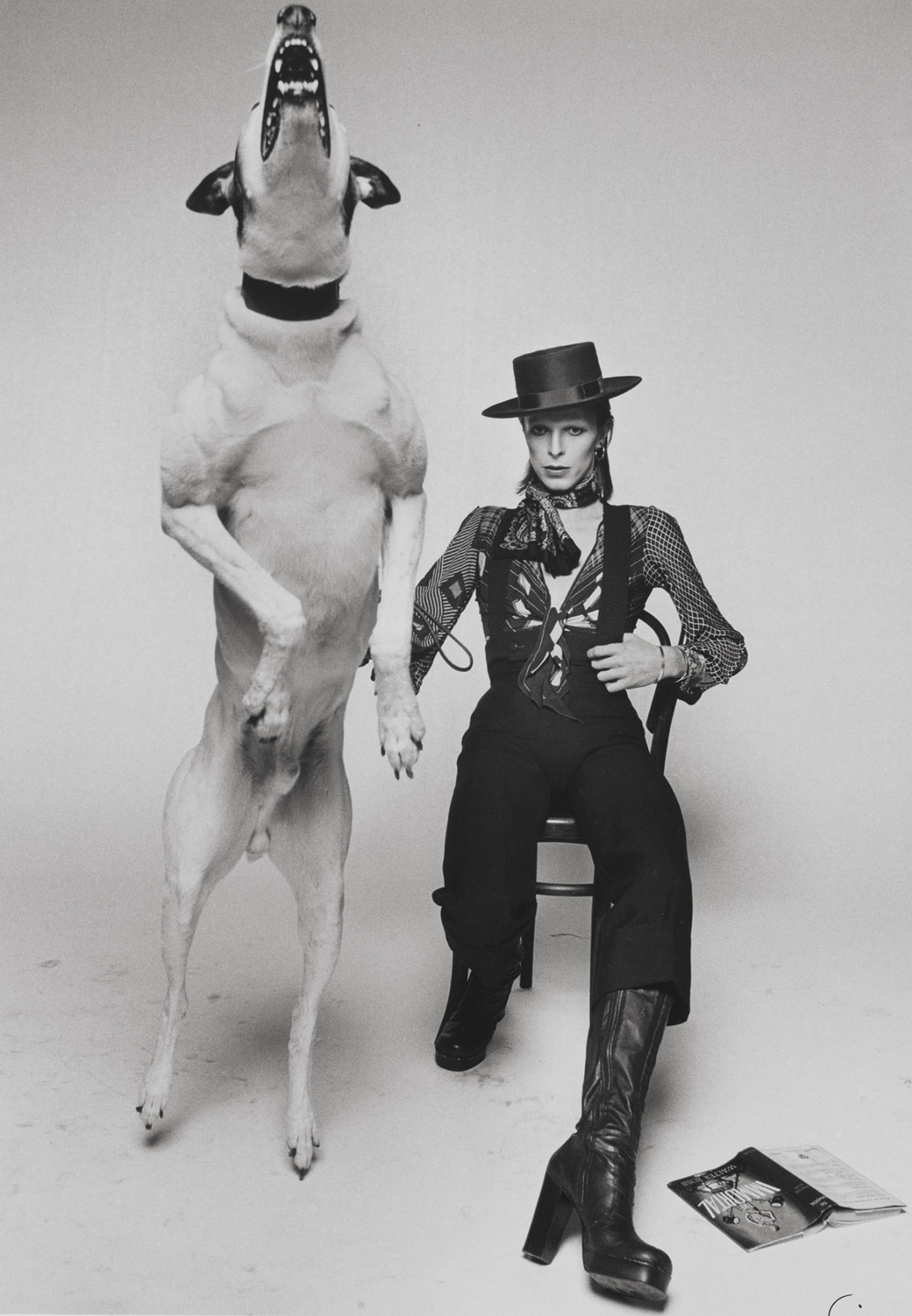 Terry O'Neill, David Bowie, 'Diamond Dogs', London, 1974