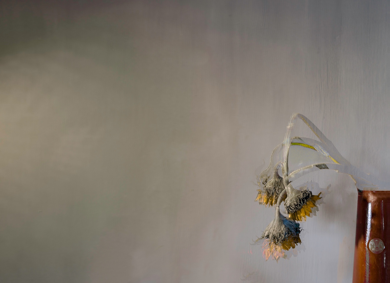 Valda Bailey, Sundown, 2016