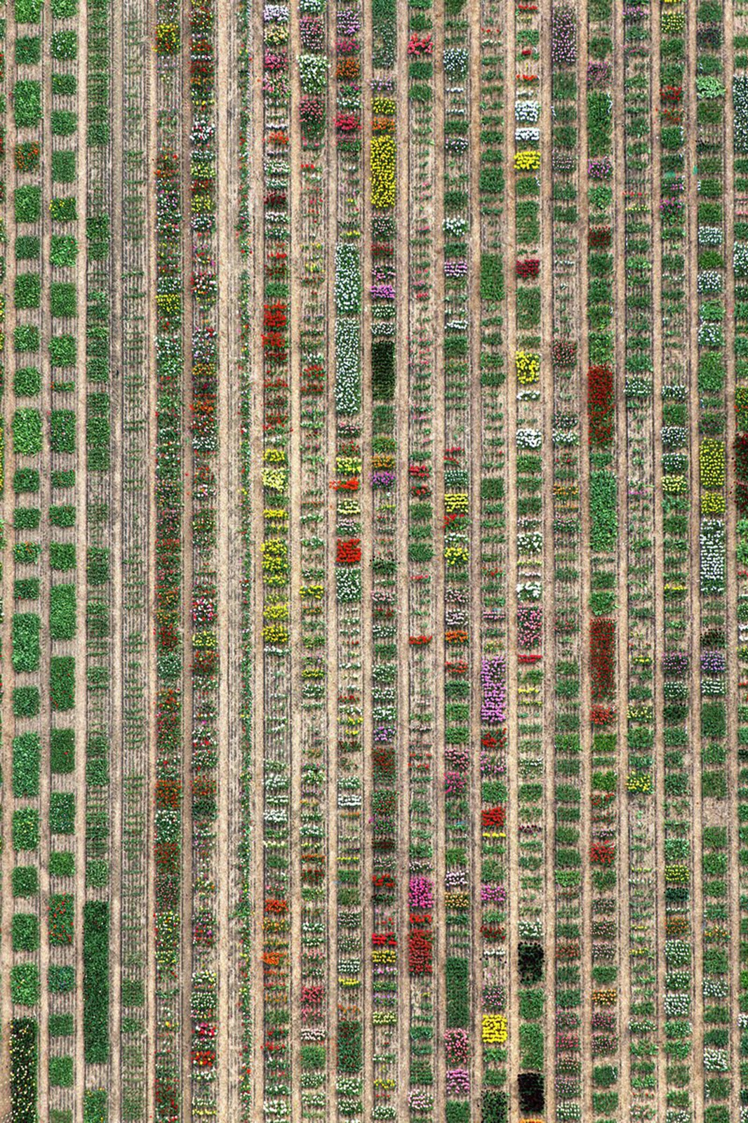 Tommy Clarke, Sections, Netherlands, 2018