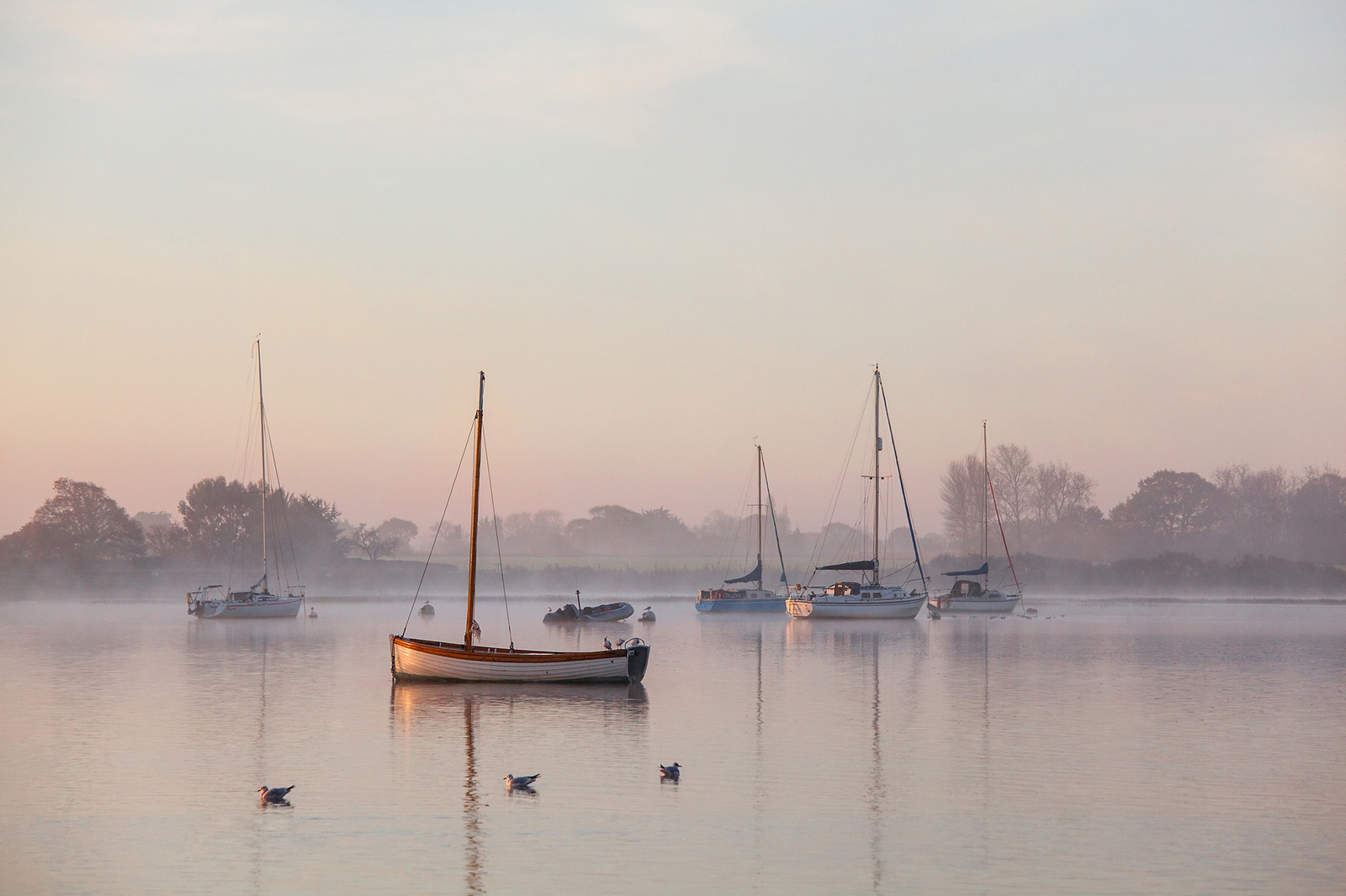 Luke Whitaker, Misty Morning, Bosham, Sussex, England, 2012