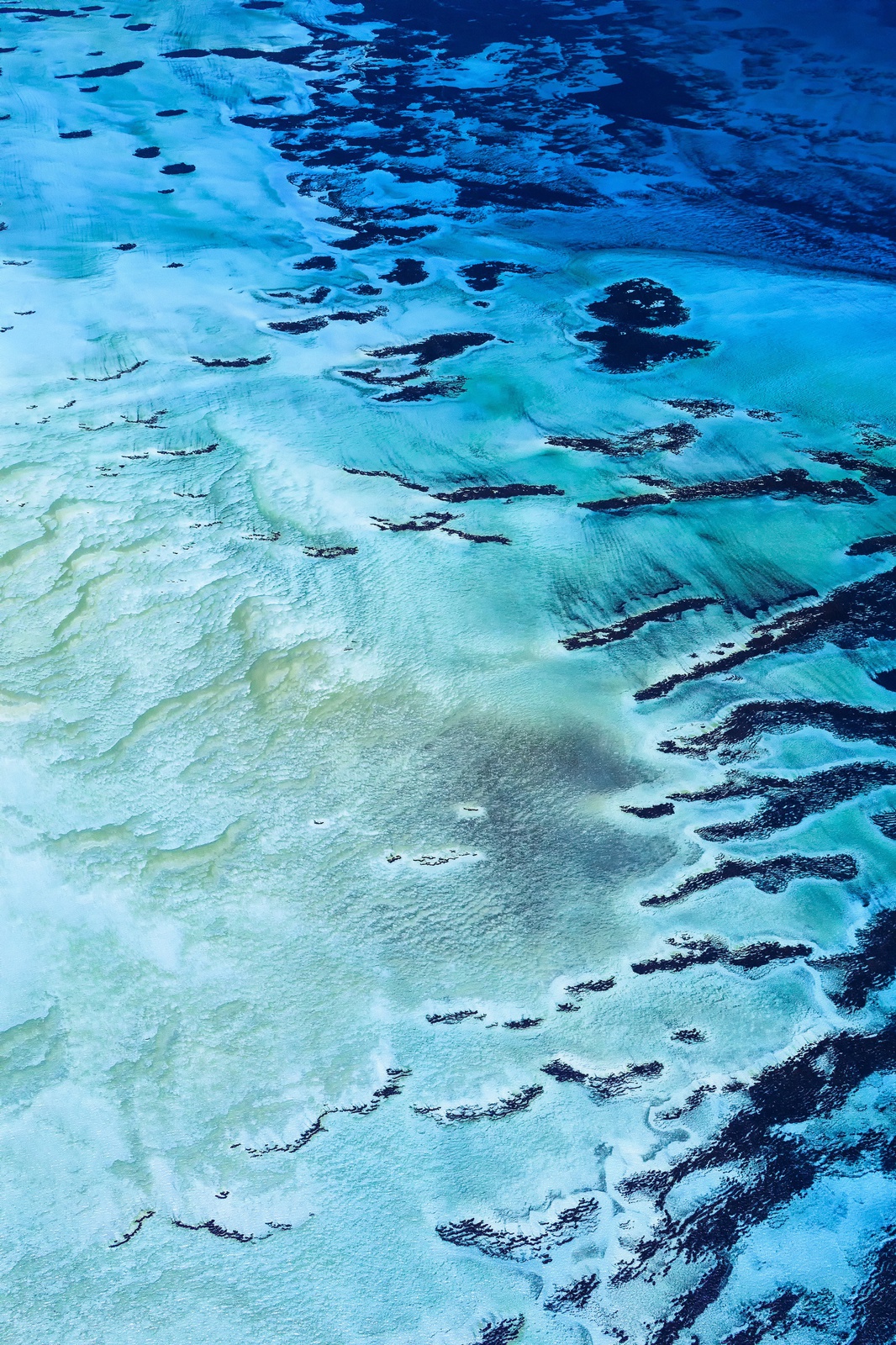 Yi Sun, Shark Bay Study 7, Western Australia, 2017