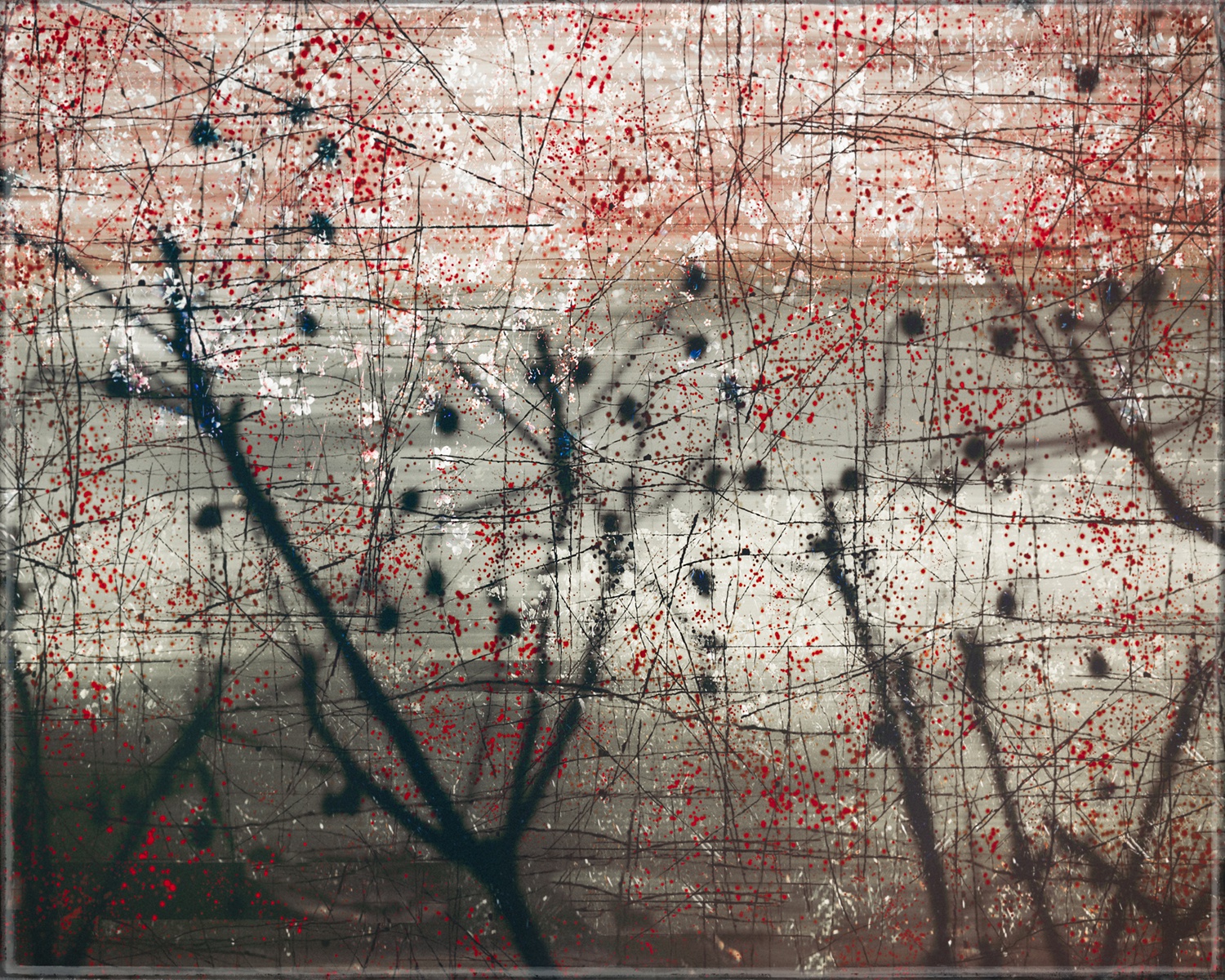 Valda Bailey, The Wake Of Confusion, 2020