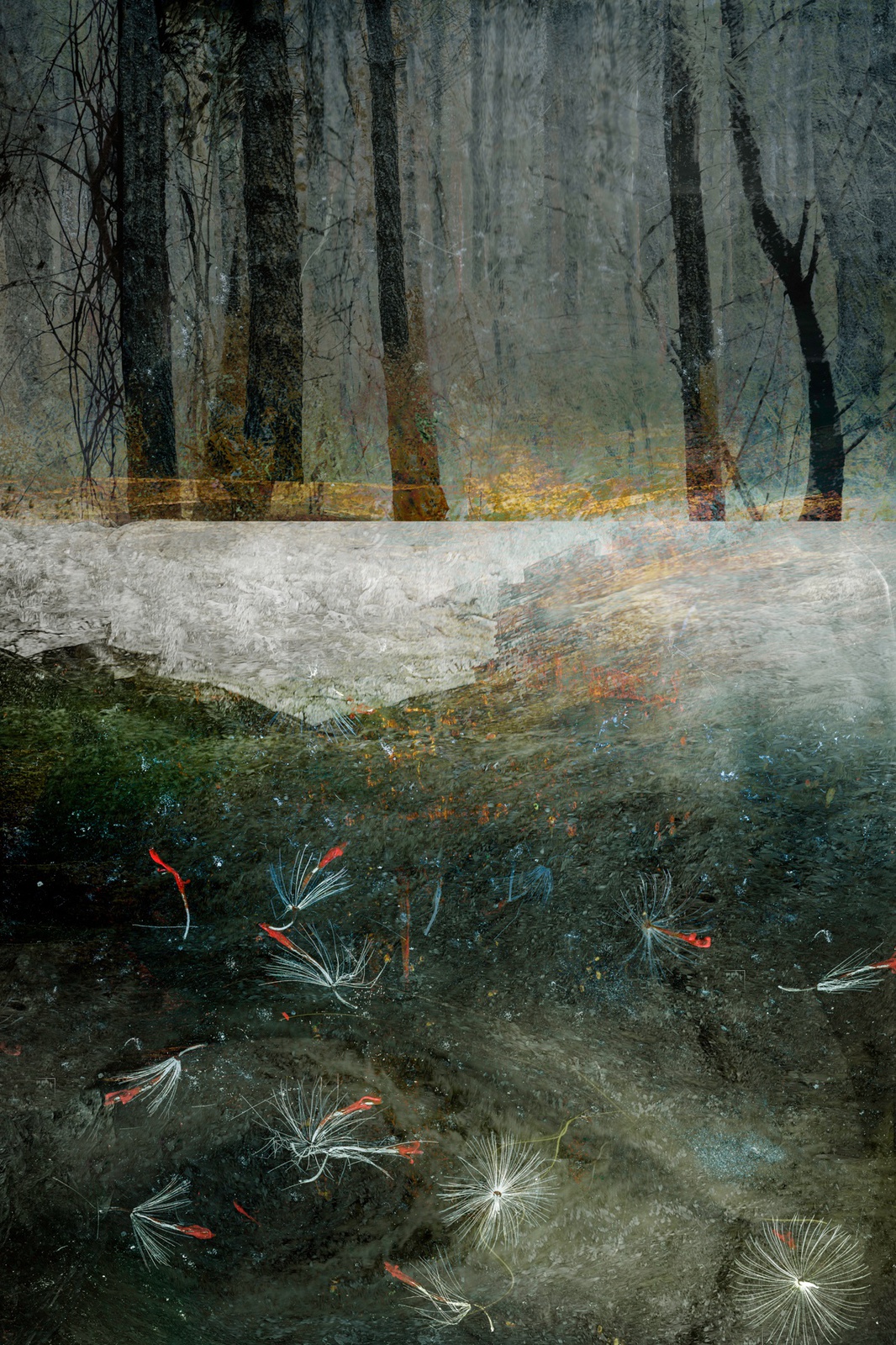 Valda Bailey, The Woods Call With A Hundred Voices, 2018