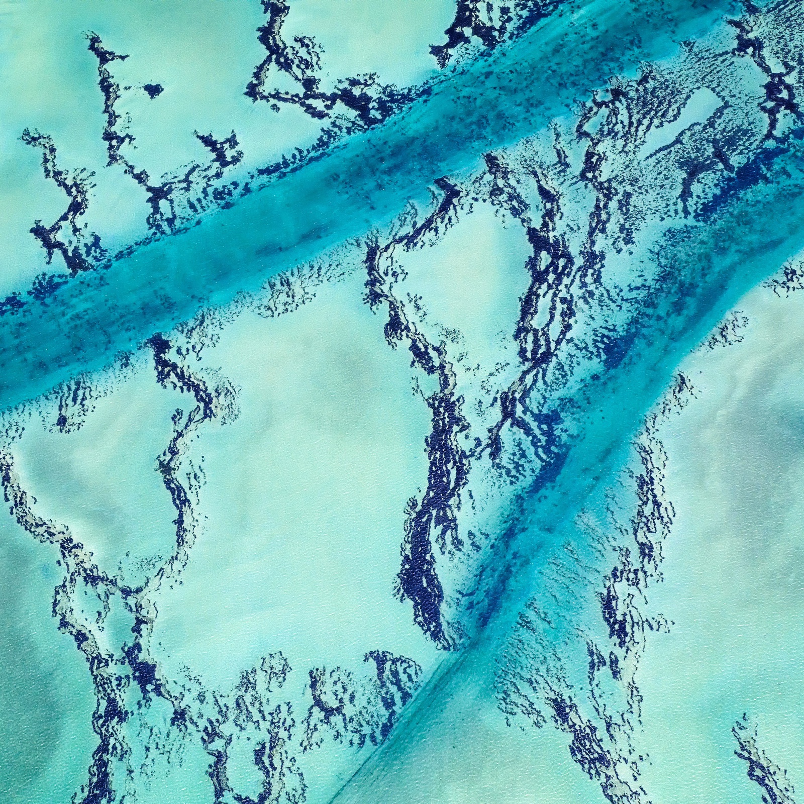 Yi Sun, Shark Bay Study 6, Western Australia, 2017