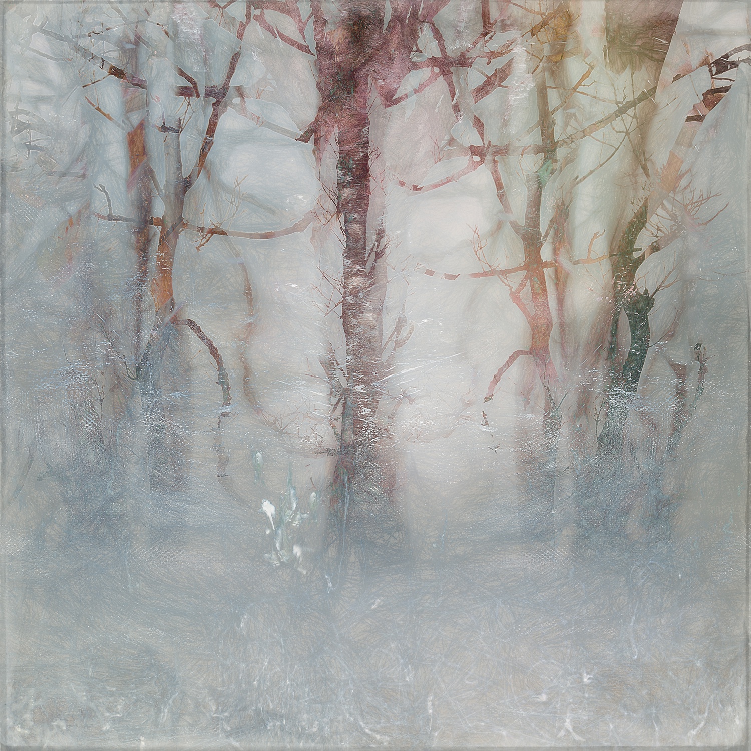 Valda Bailey, Winter Threads, 2020