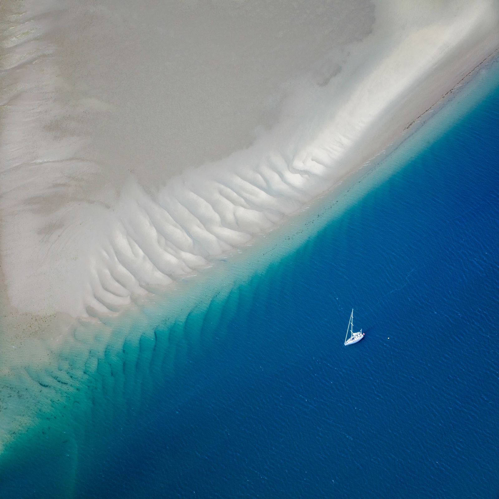 Yi Sun, East Head, Study 5, Sussex, England, 2020