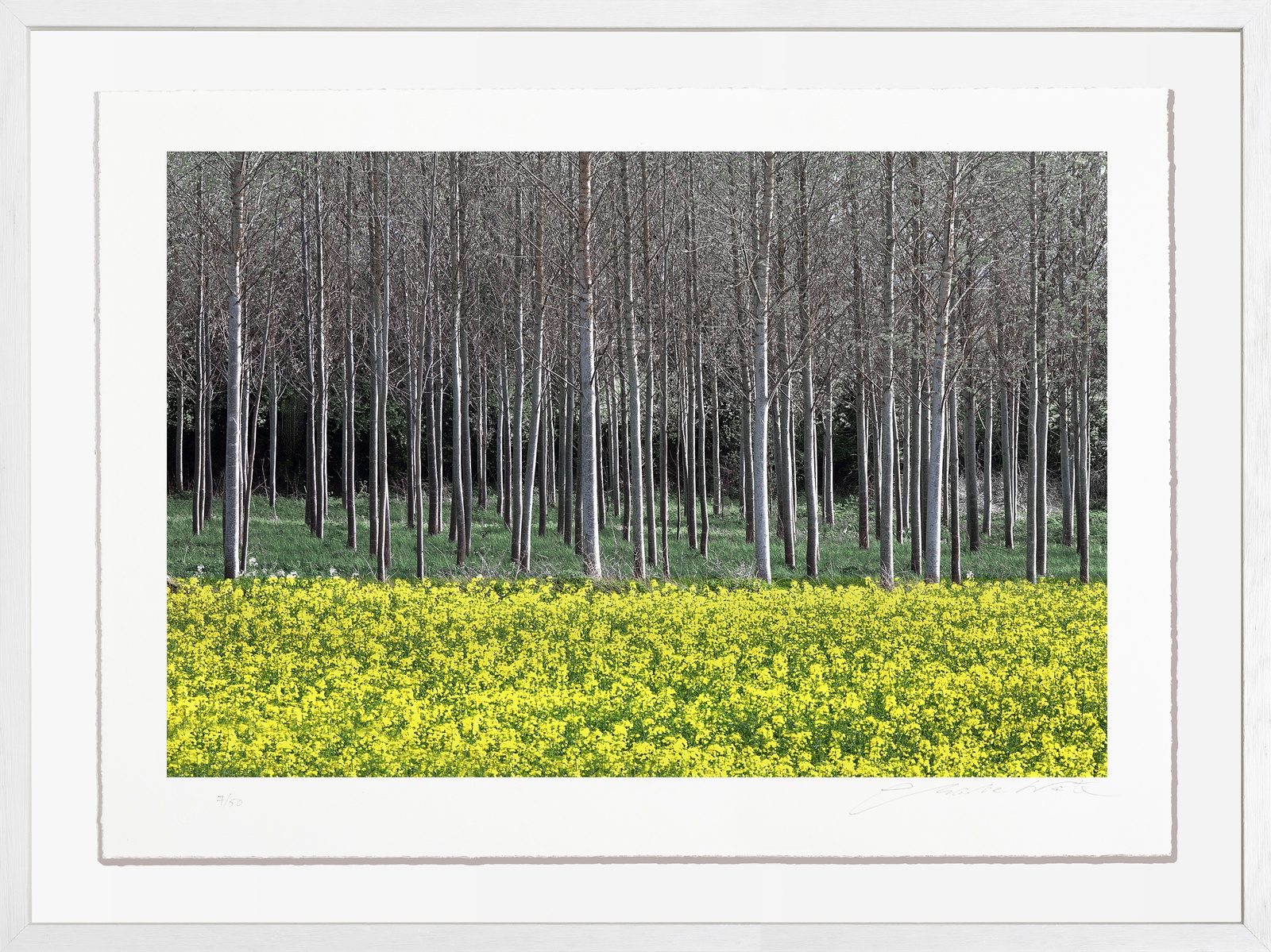 Charlie Waite, South of Ludlow, Herefordshire, England, 2002