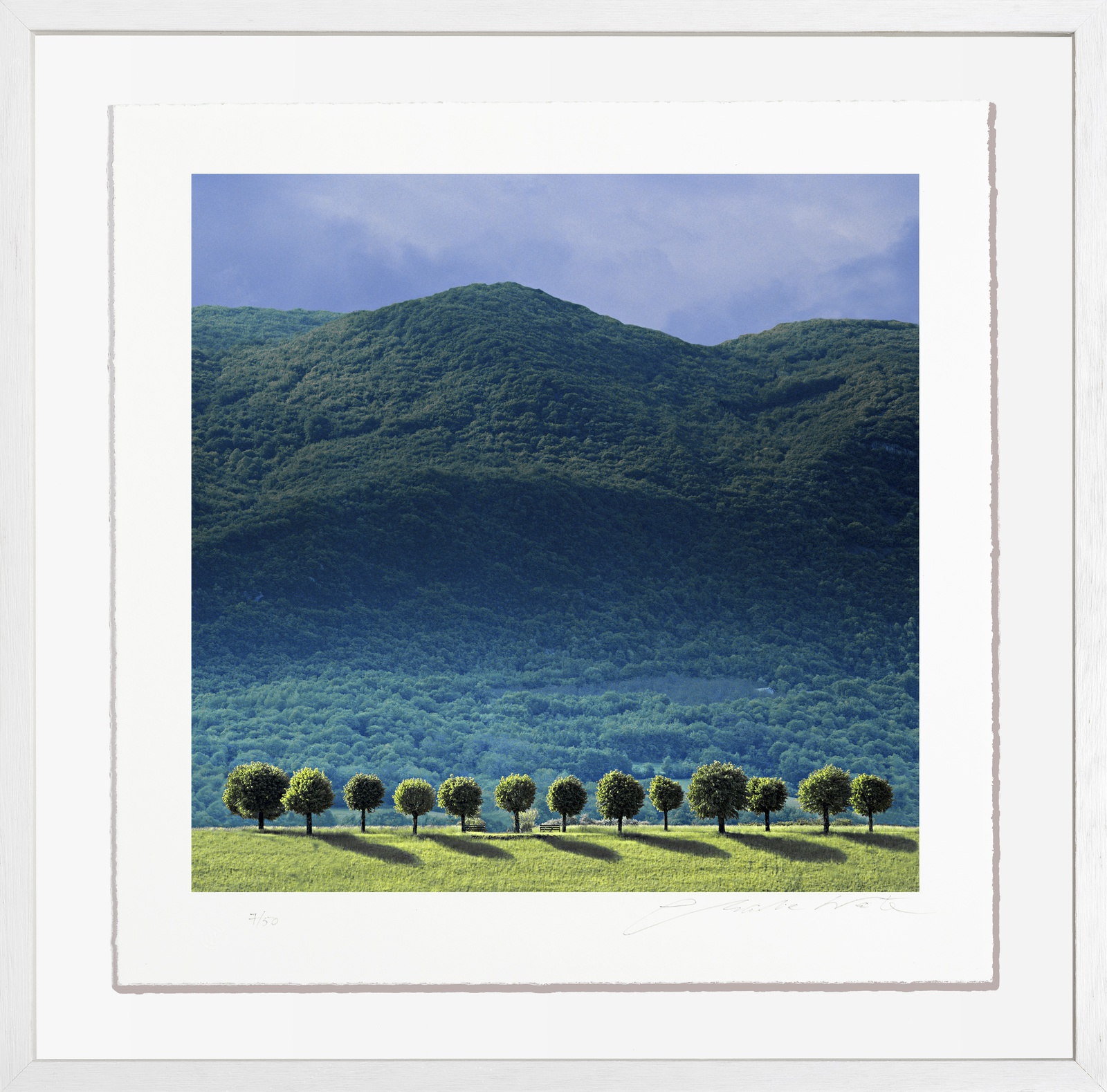 Charlie Waite, Valence, Vercors, France, 1994