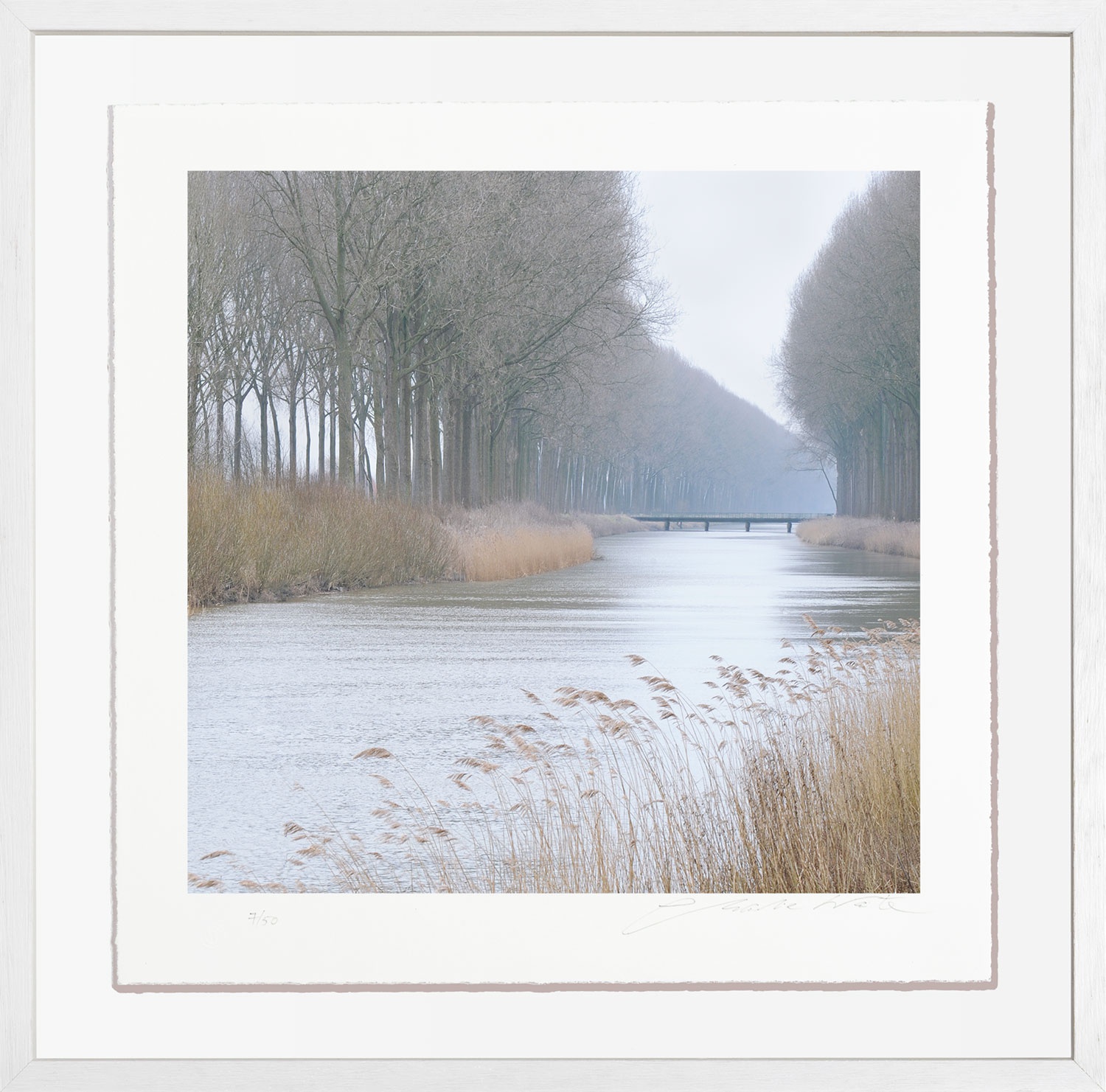 Charlie Waite, Damme Study 2, Belgium, 2008