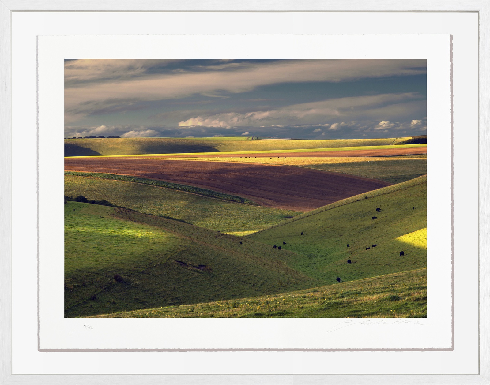 Charlie Waite, Mere Study 4, Wiltshire, England, 2021
