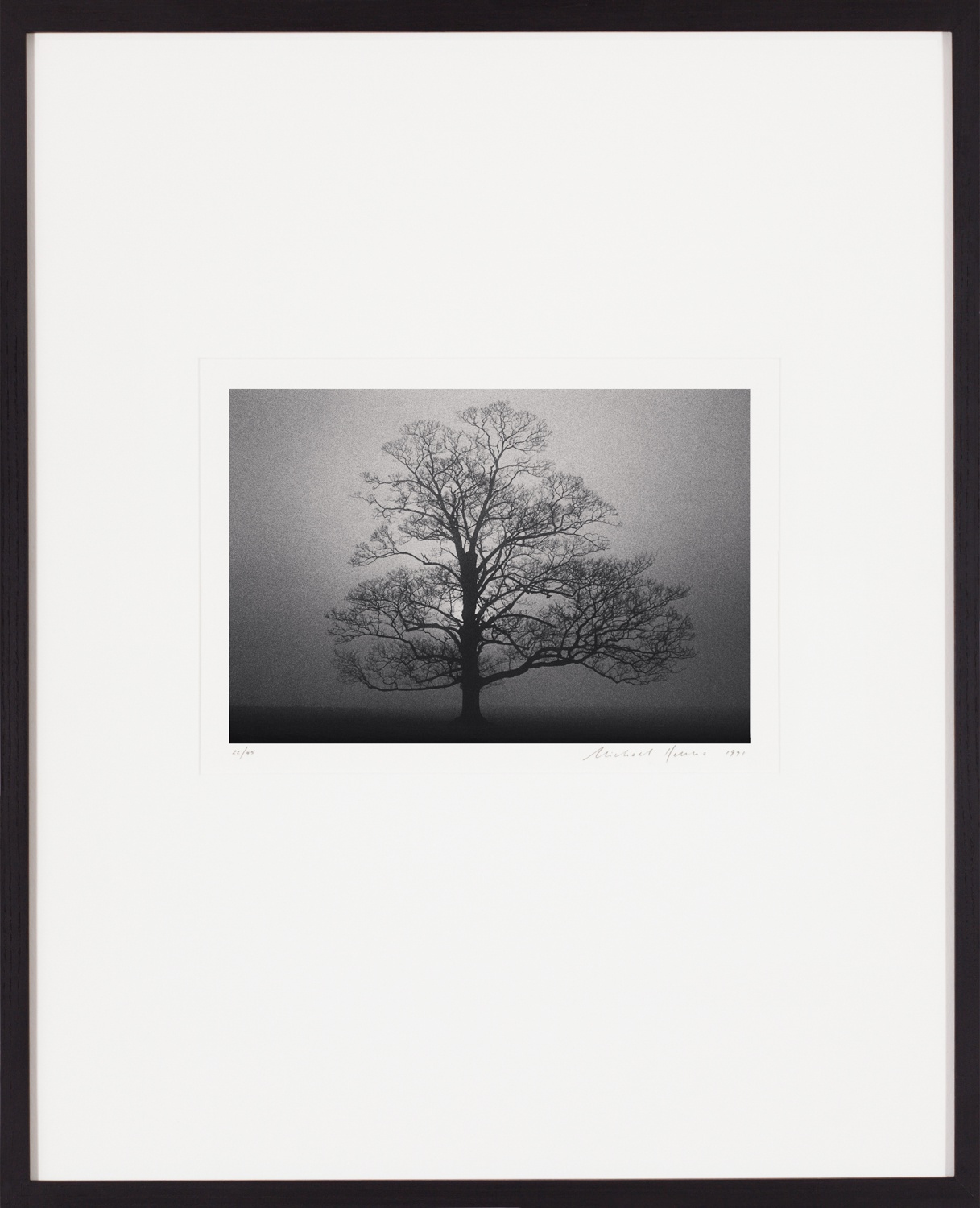 Michael Kenna, Fox Talbot's Tree, Lacock Abbey, Wiltshire, England, 1983