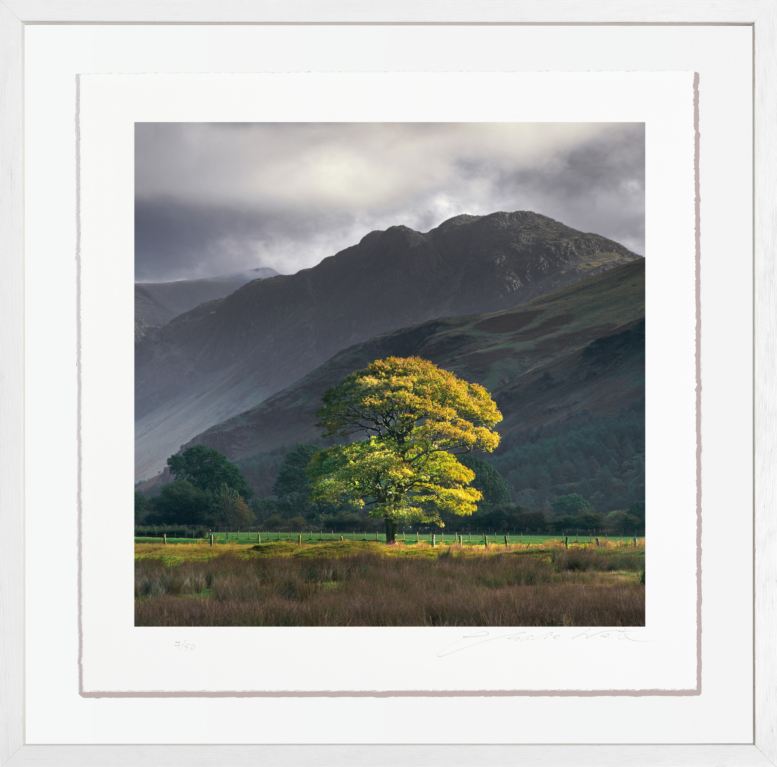 Charlie Waite, Buttermere Study II, Cumbria, England, 2012