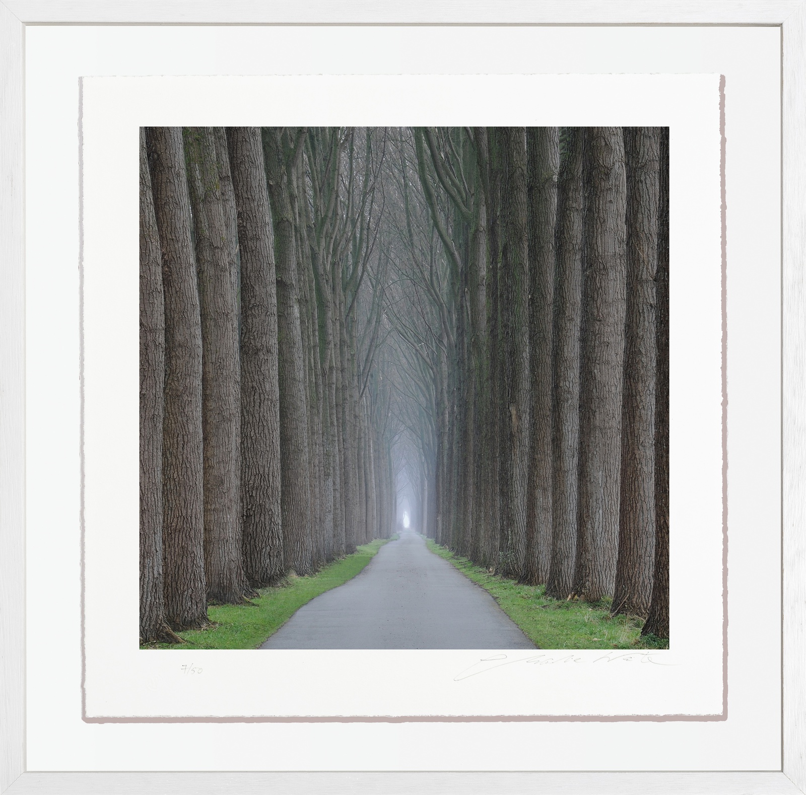 Charlie Waite, Damme Study I, Belgium, 2006