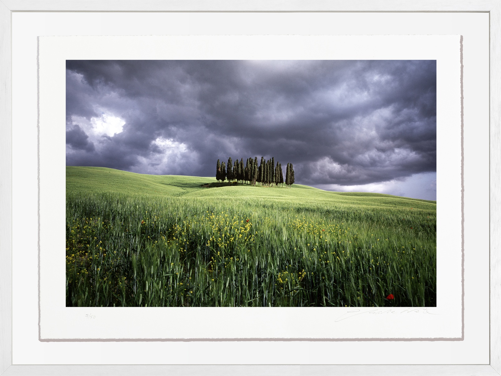 Charlie Waite, San Quirico D'Orcia, Tuscany, Italy, 1990