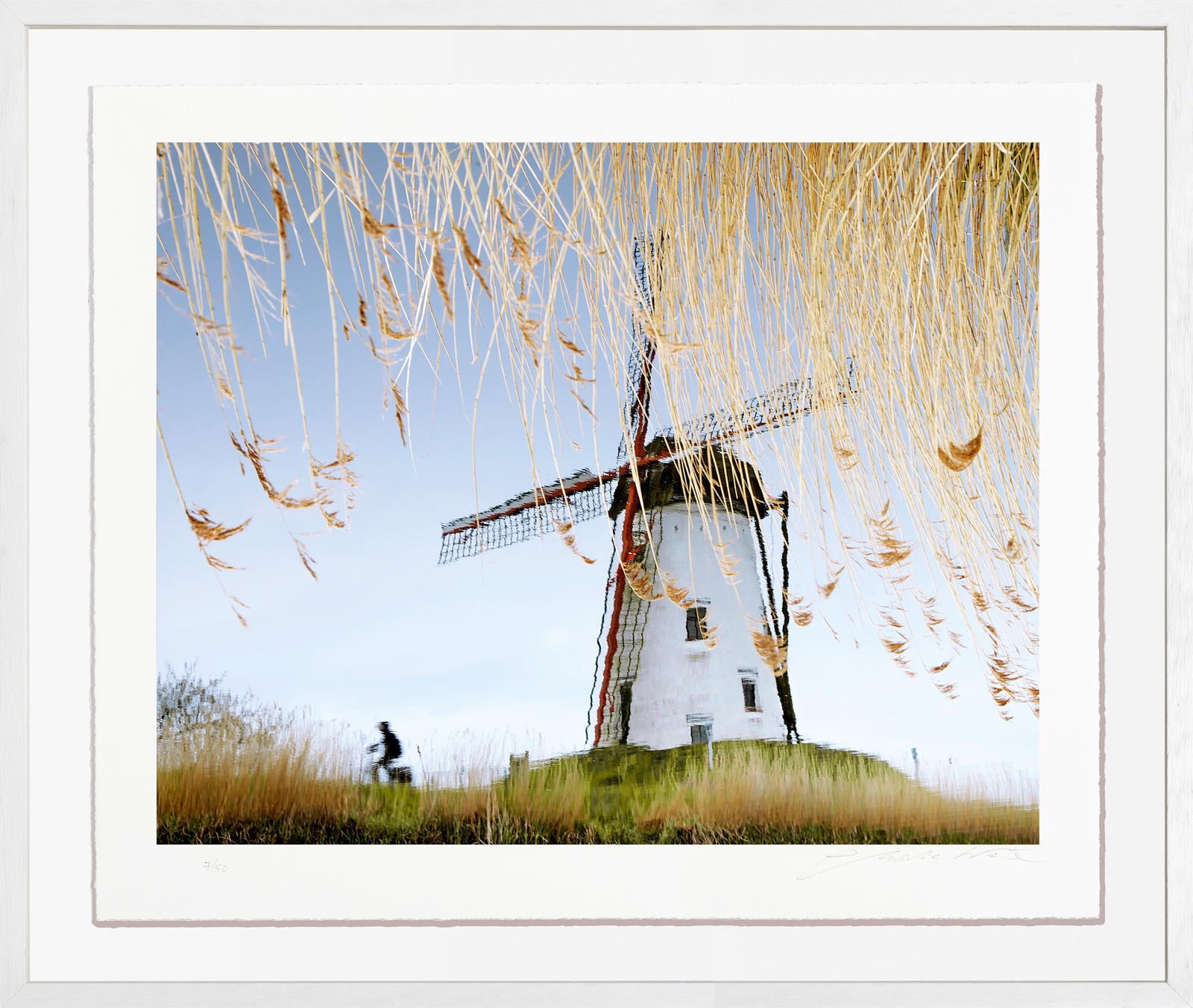 Charlie Waite, Damme Study III, Belgium, 2014