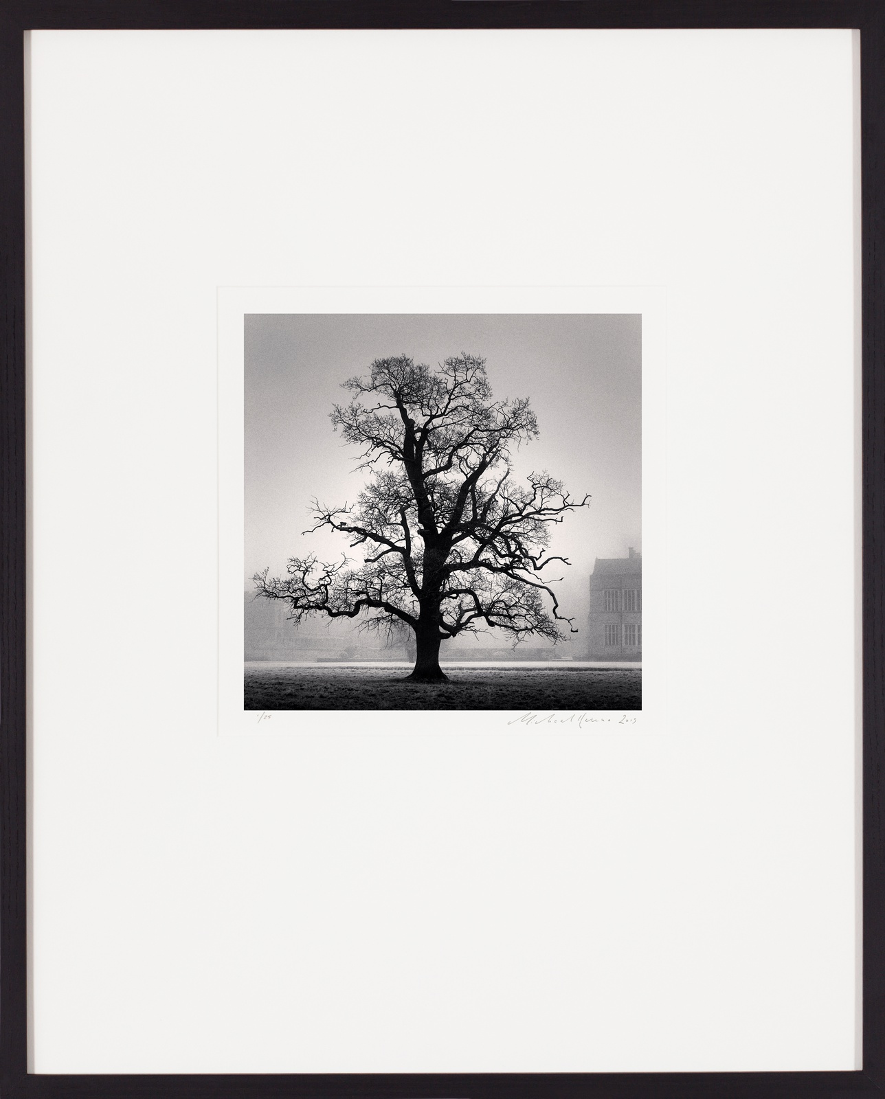 Michael Kenna, Graceful Oak, Broughton, Oxfordshire, England, 2005
