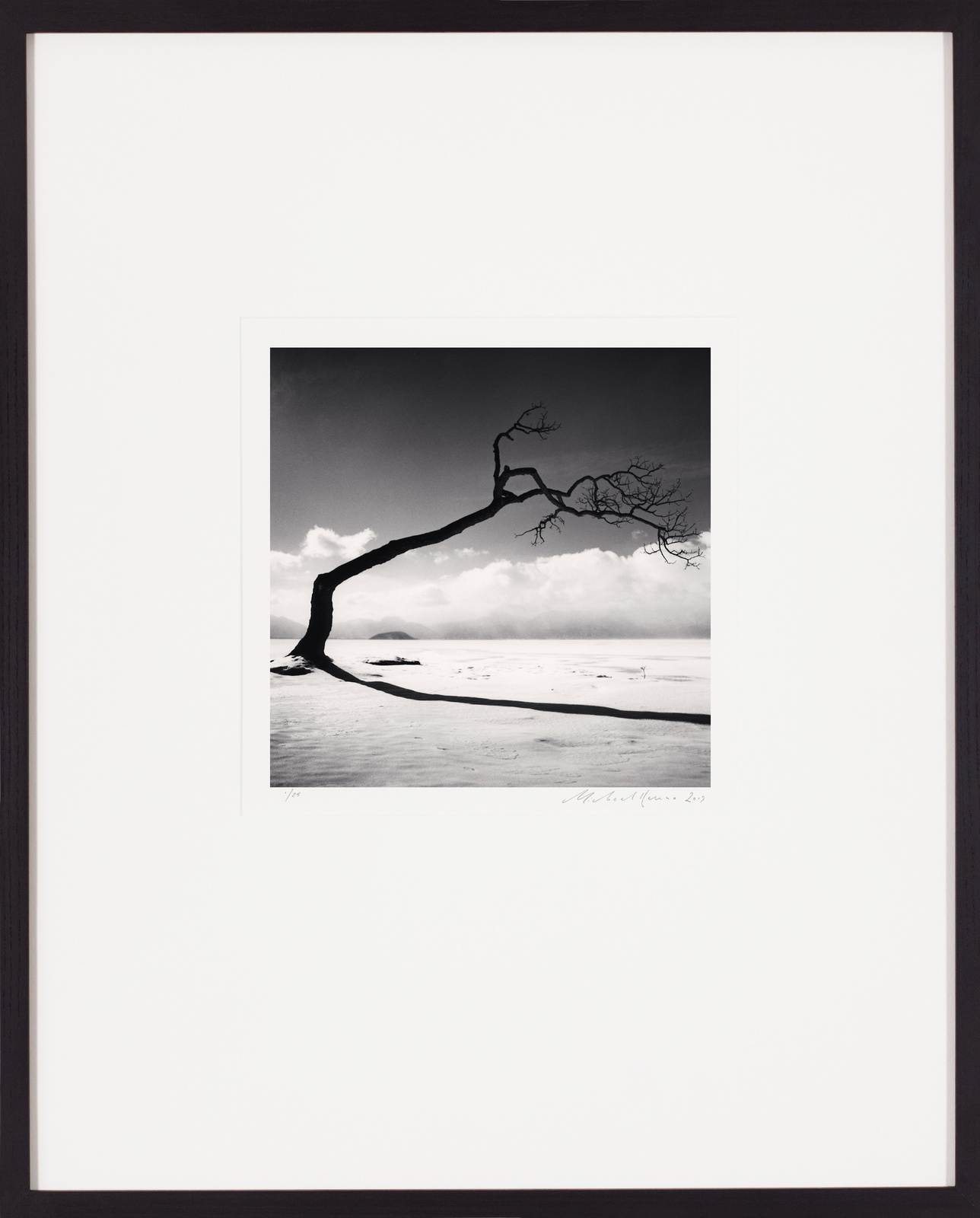 Michael Kenna, Kussharo Lake Tree Study 10, Kotan, Hokkaido, Japan, 2005
