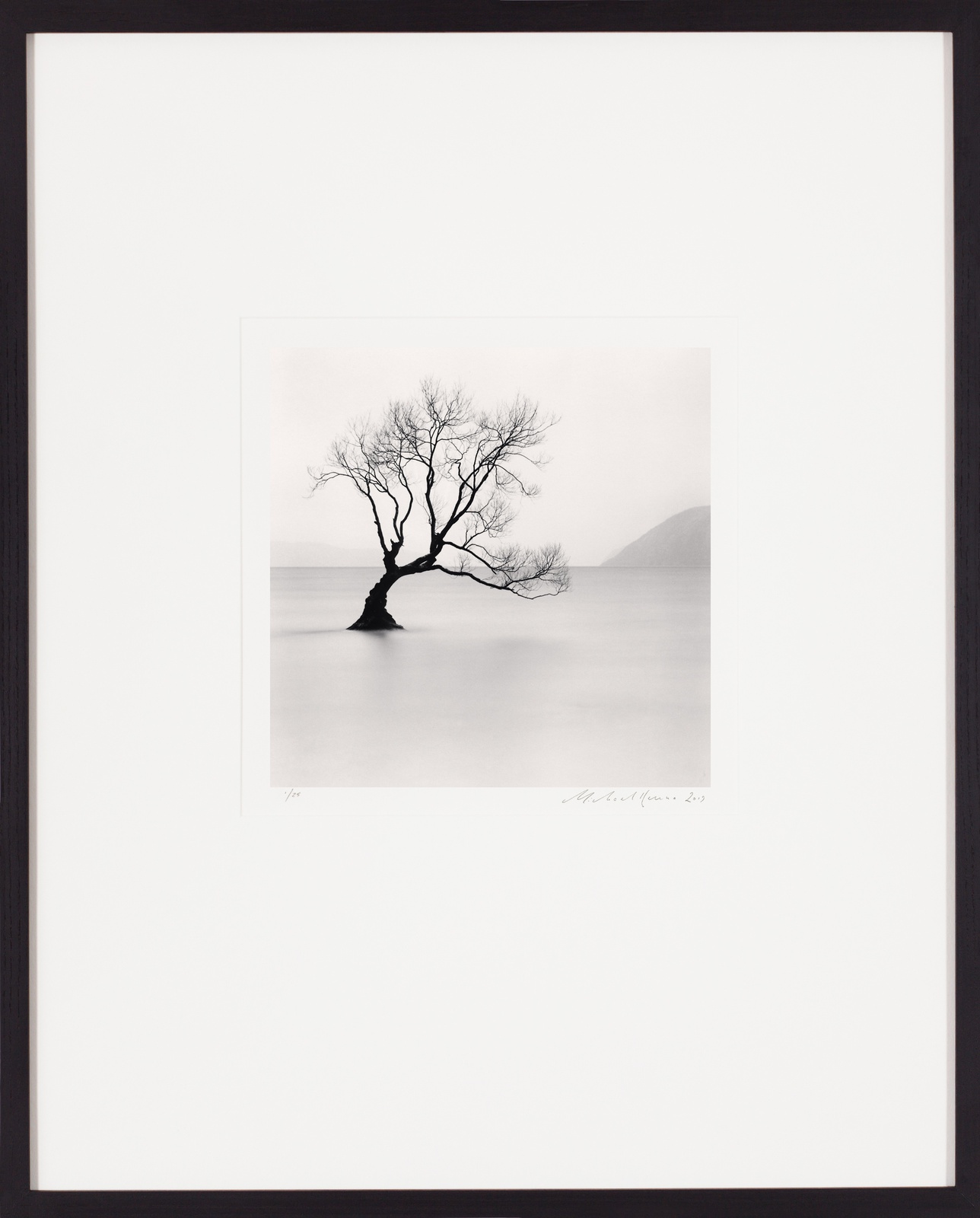 Michael Kenna, Wanaka Lake Tree I, Otago, New Zealand, 2013