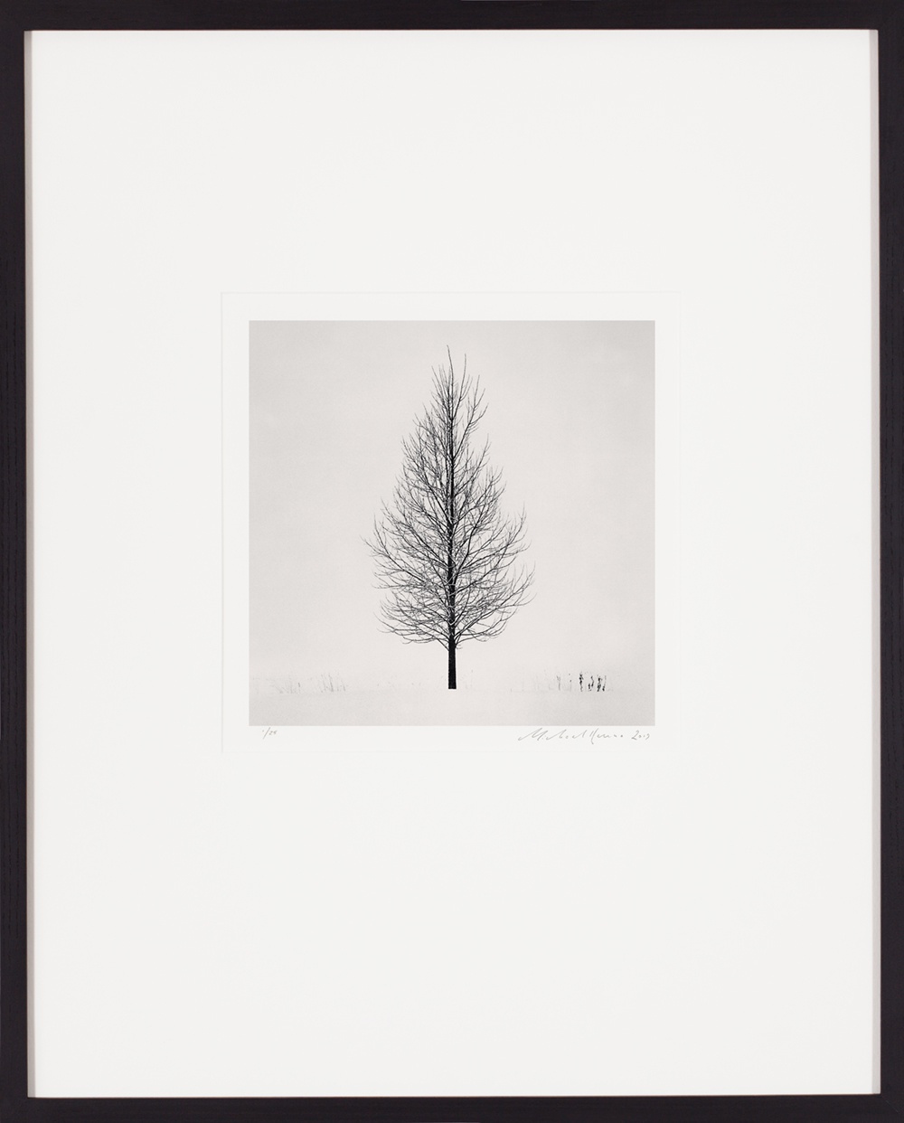 Michael Kenna, Tree Portrait Study 5, Wakoto, Hokkaido, Japan, 2005