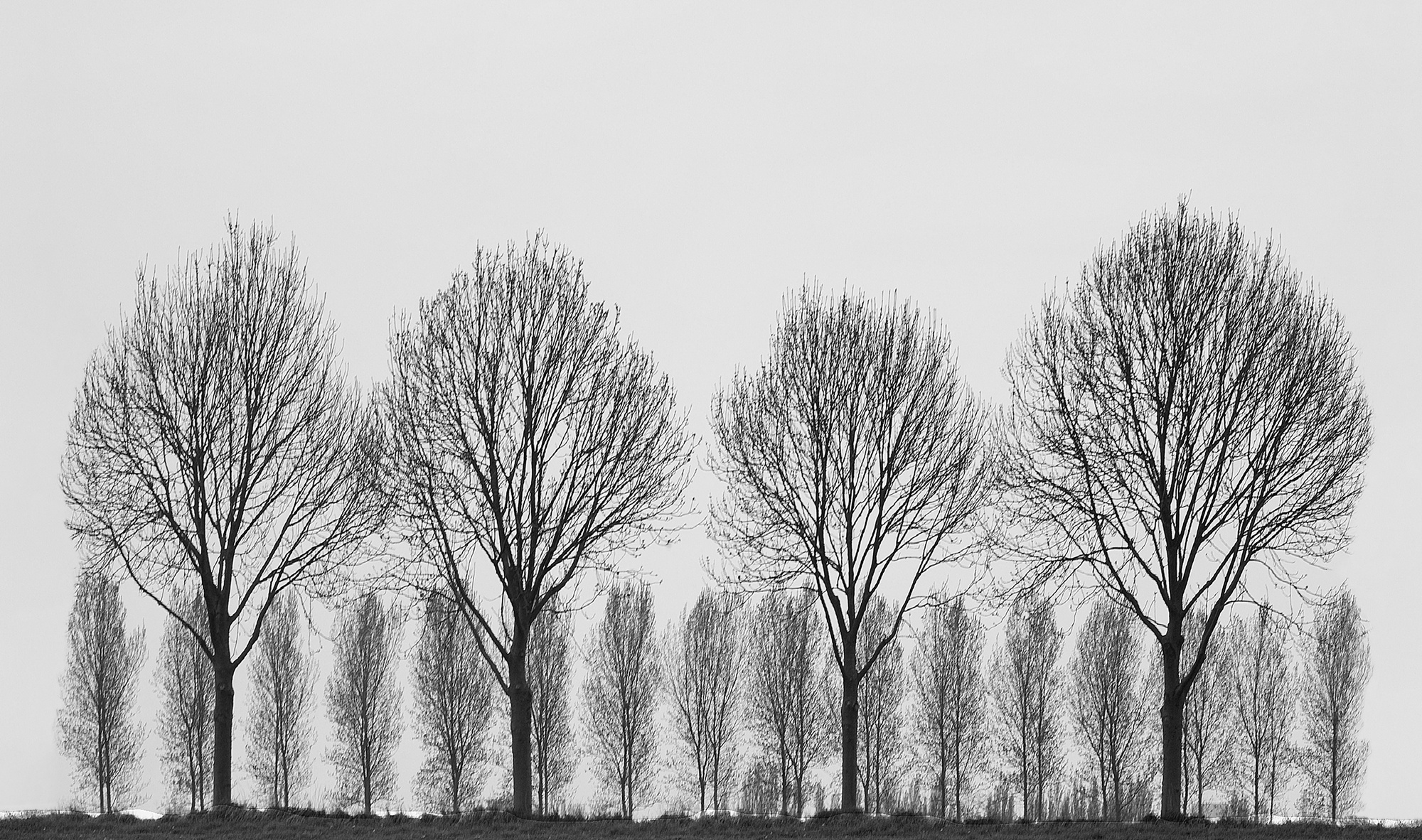 Charlie Waite, West of Ostend Study 2, Belgium, 1984