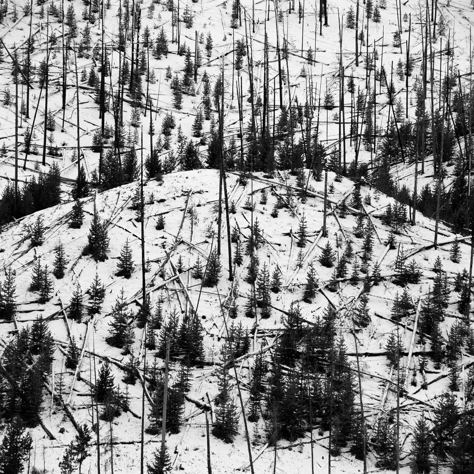 Charlie Waite, Montana, USA, 2009