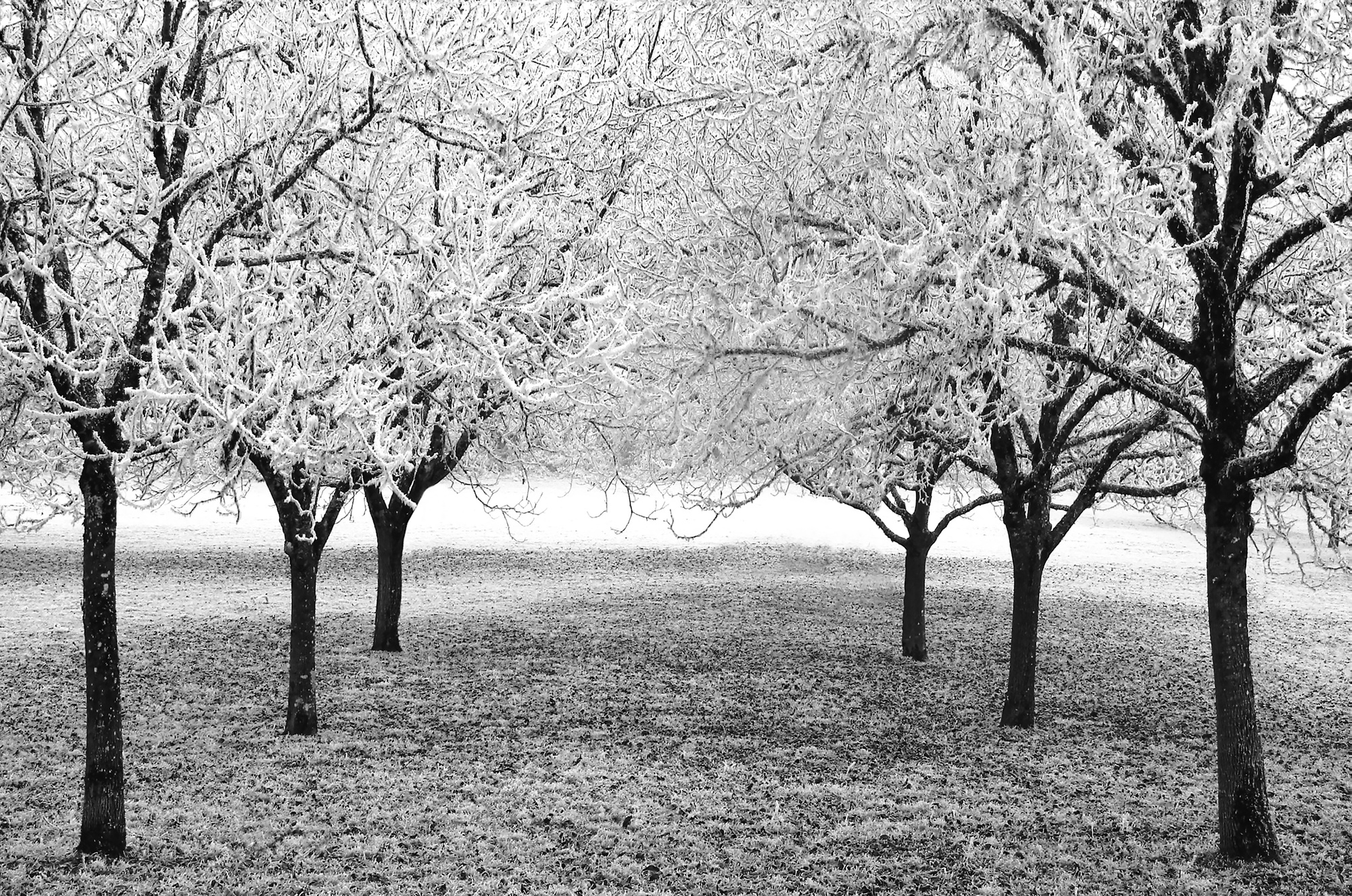 Charlie Waite, Loubressac, The Lot, France, 1986