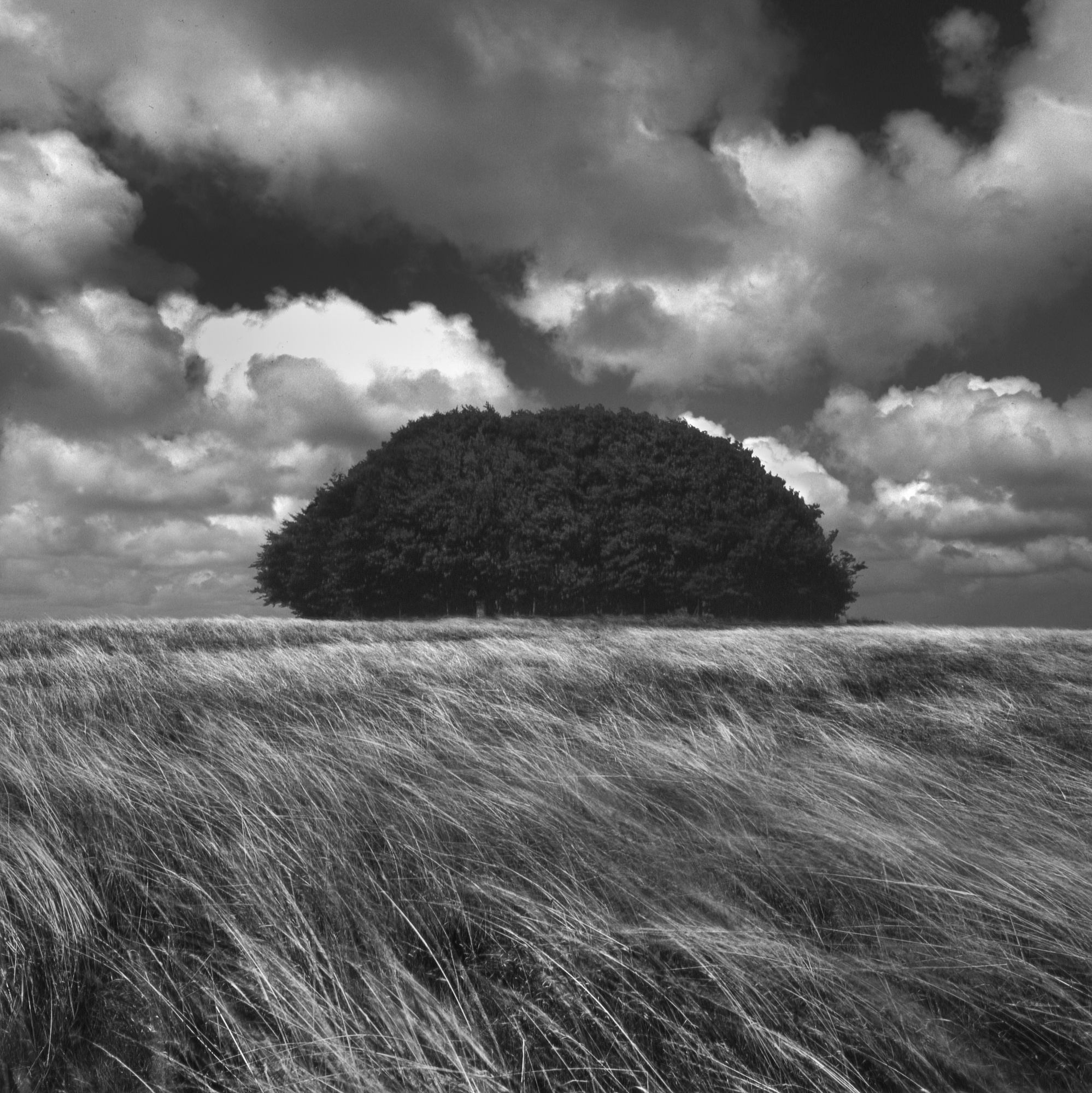 Charlie Waite, Win Green Study 5, Cranborne Chase, England, 1998
