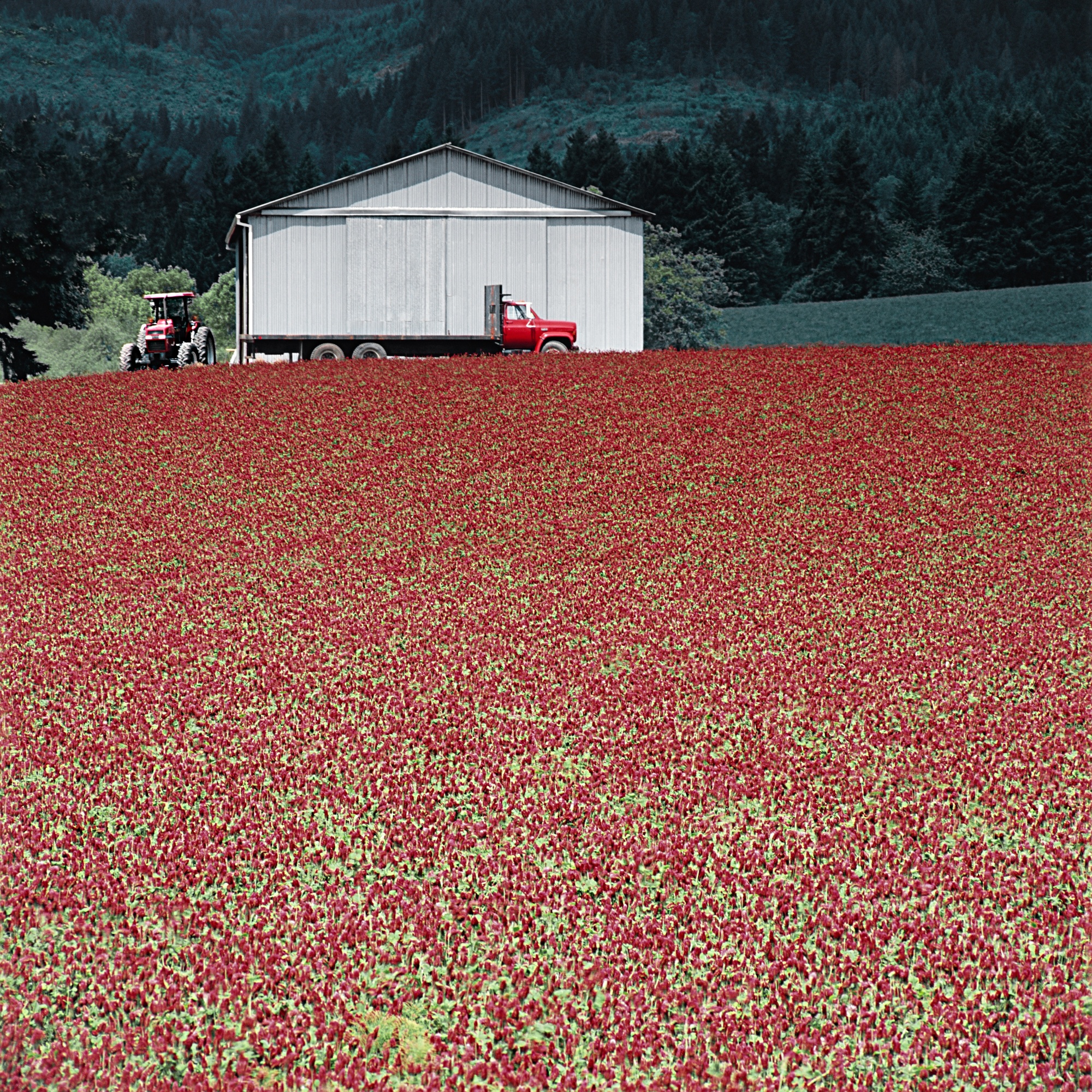 Charlie Waite, Carolina, USA, 2015