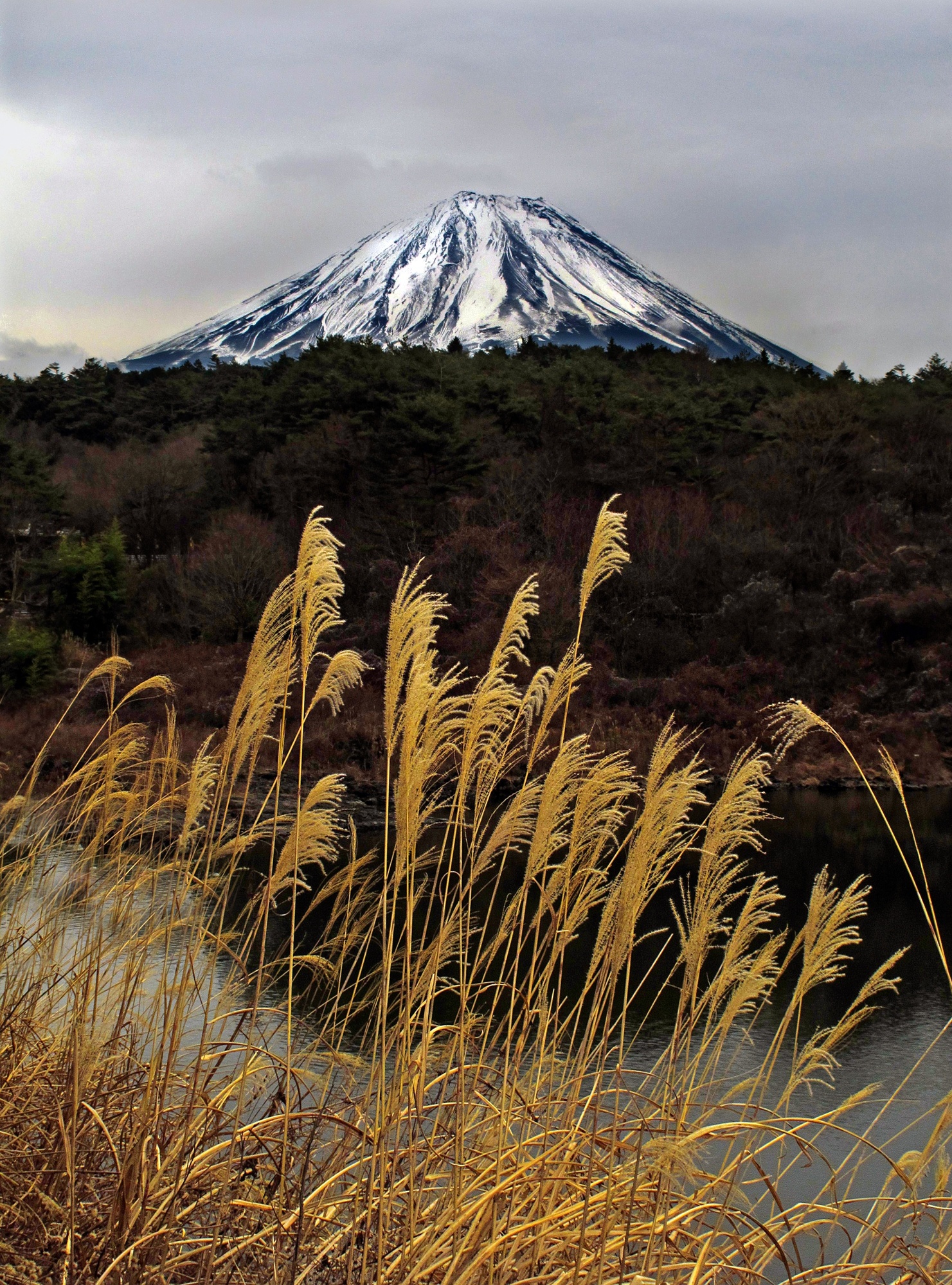 Charlie Waite, Mount Fuji Study 3, Japan, 2000