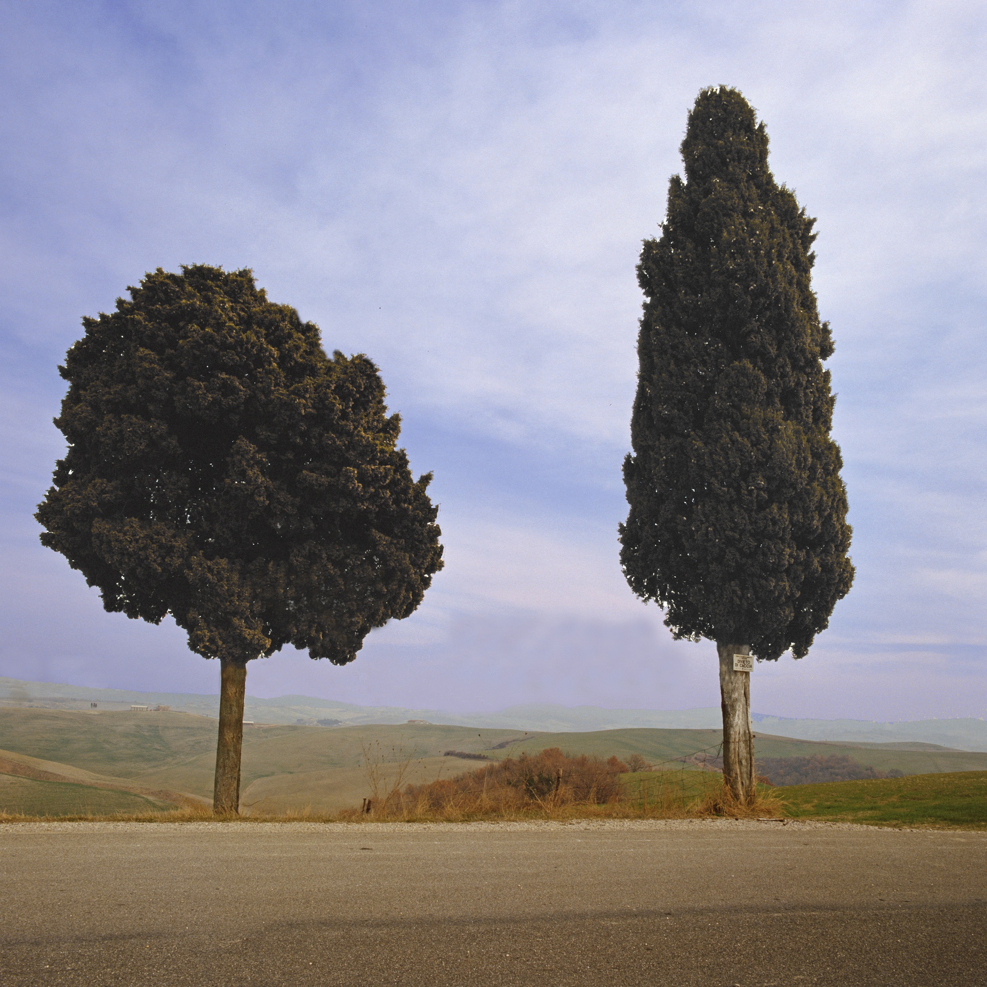 Charlie Waite, West of Abbazia di Monte, Oliveto, Tuscany, 1987