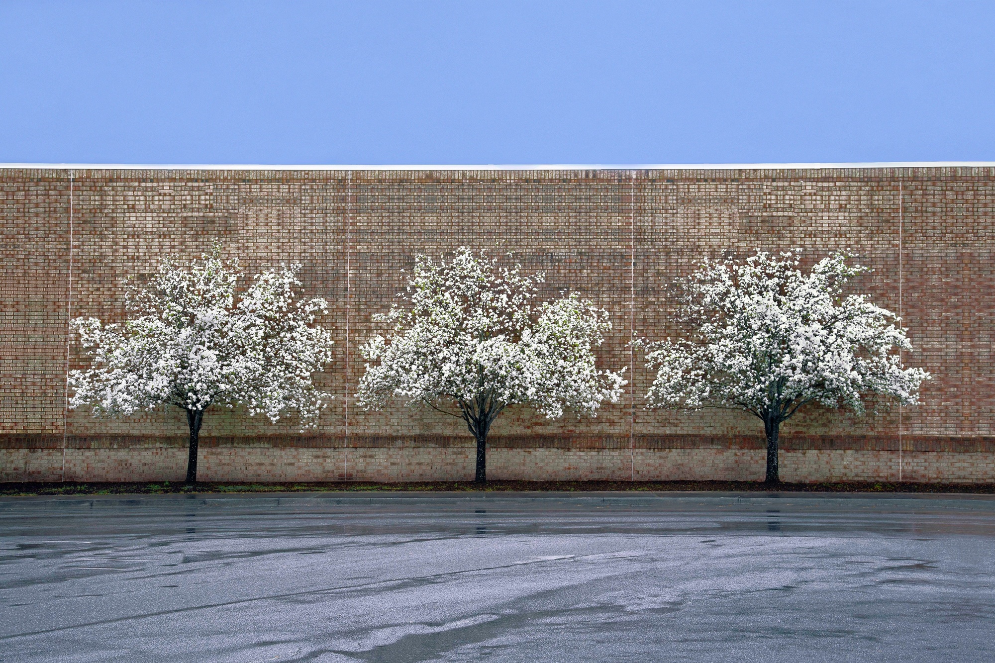 Charlie Waite, South Carolina, USA, 2014