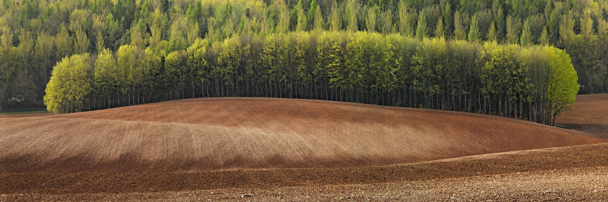 Charlie Waite, West of Newbury, Berkshire, England, 2000