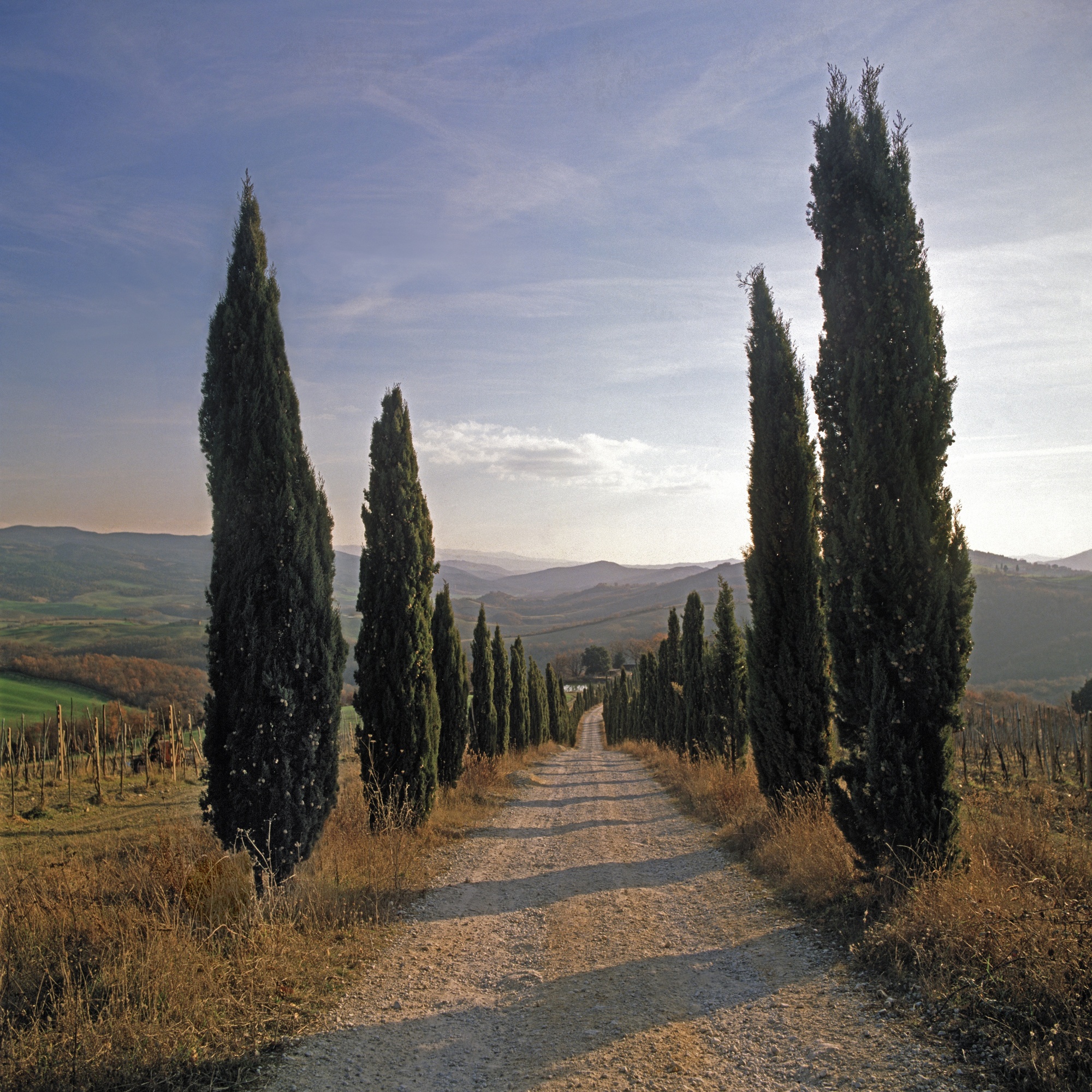Charlie Waite, Mensano, Tuscany Italy, 2002
