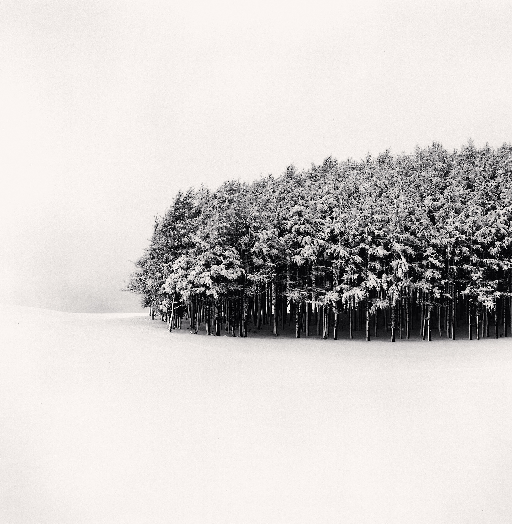 Michael Kenna, White Copse Study 1, Wakkanai, Hokkaido, Japan, 2004